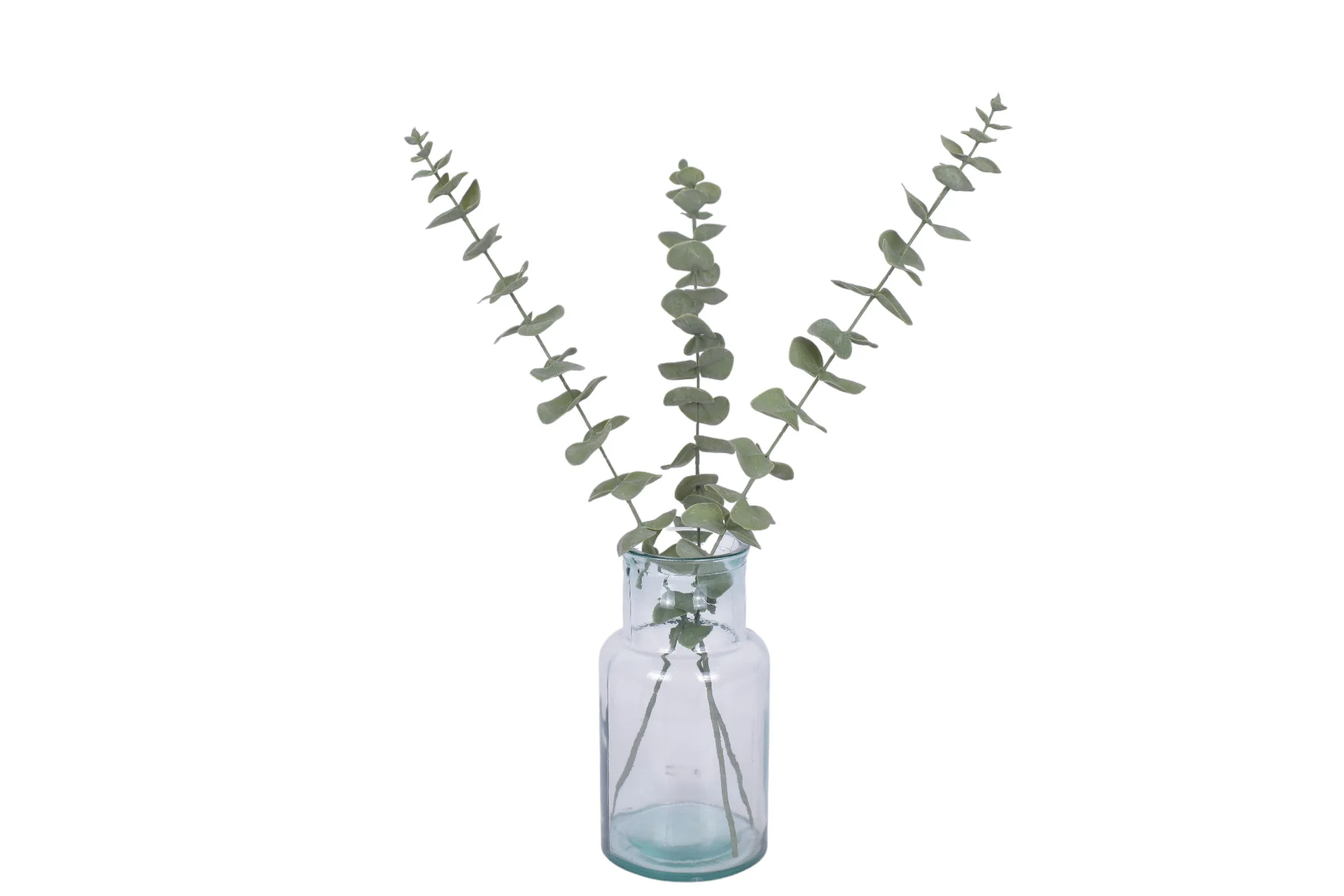 11" San Miguel Vase with Eucalyptus Stems AR1699