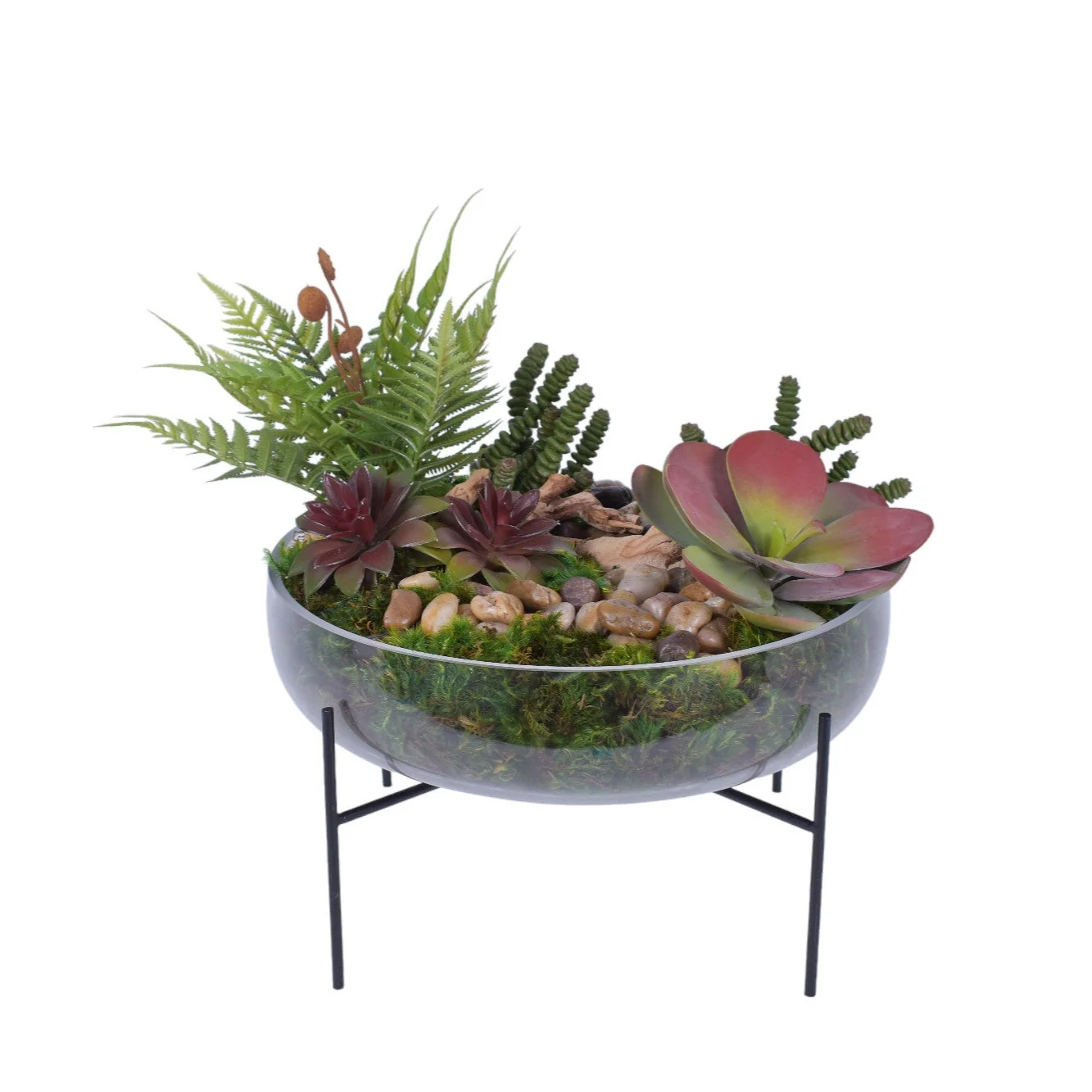 13.5" Sadie Bowl with Succulent Arrangement AR1773