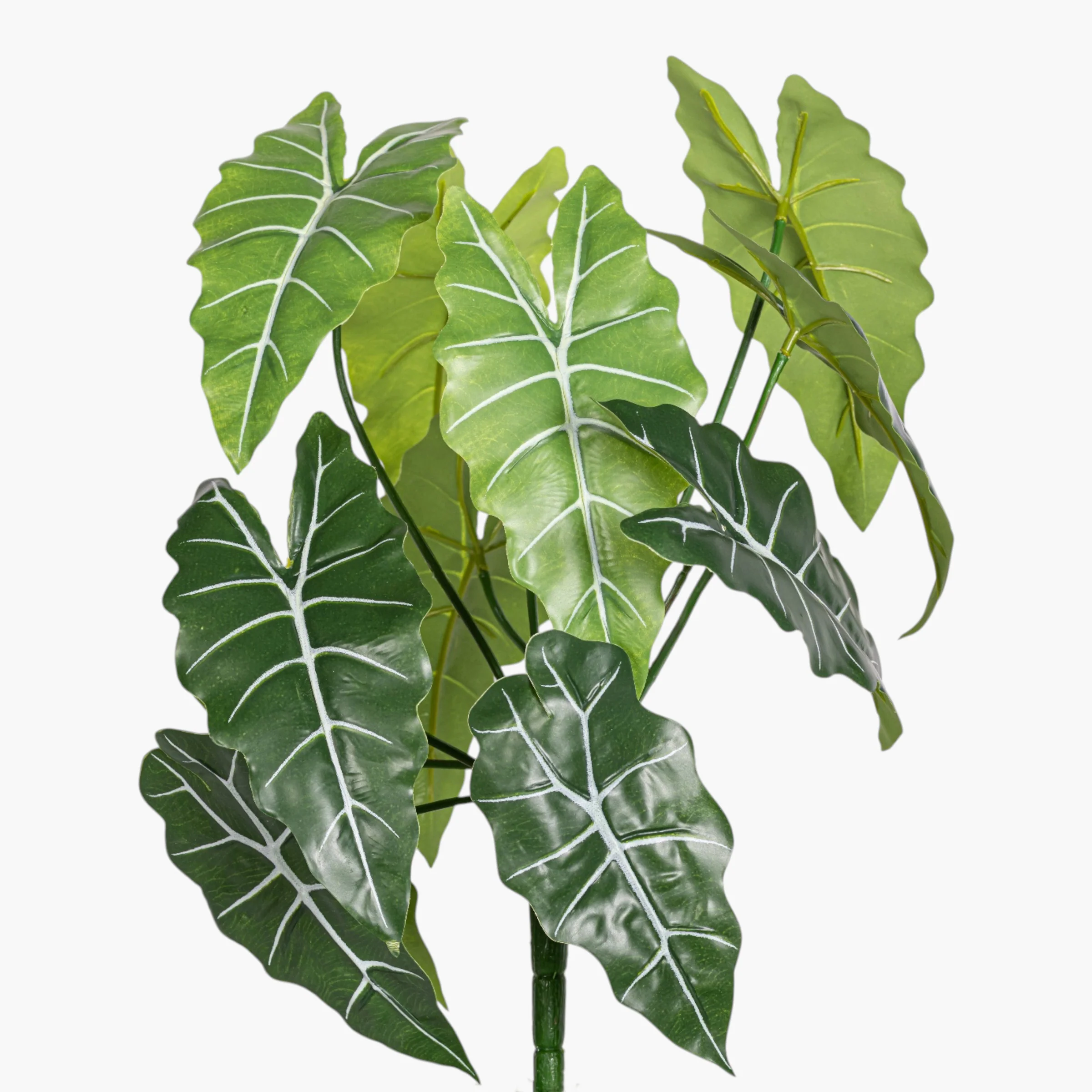 14.5" Alocasia Bush Stem - UV Treated ST1240
