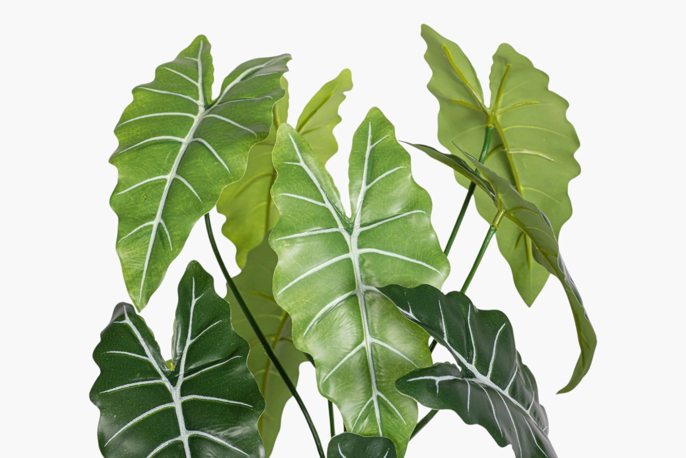 14.5" Alocasia Bush Stem - UV Treated ST1240 - Image 2