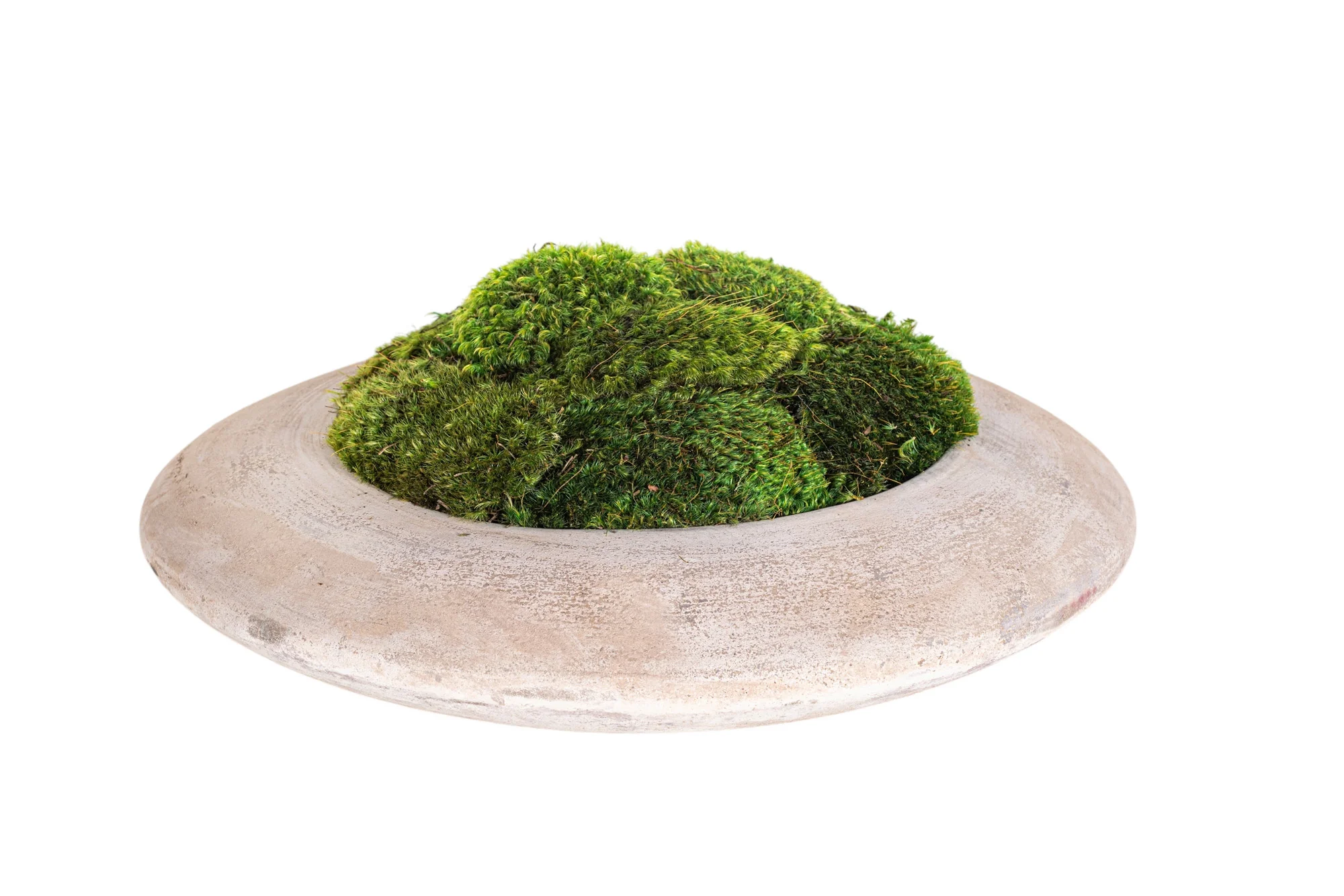 14" Flying Saucer with Mood Moss AR1181