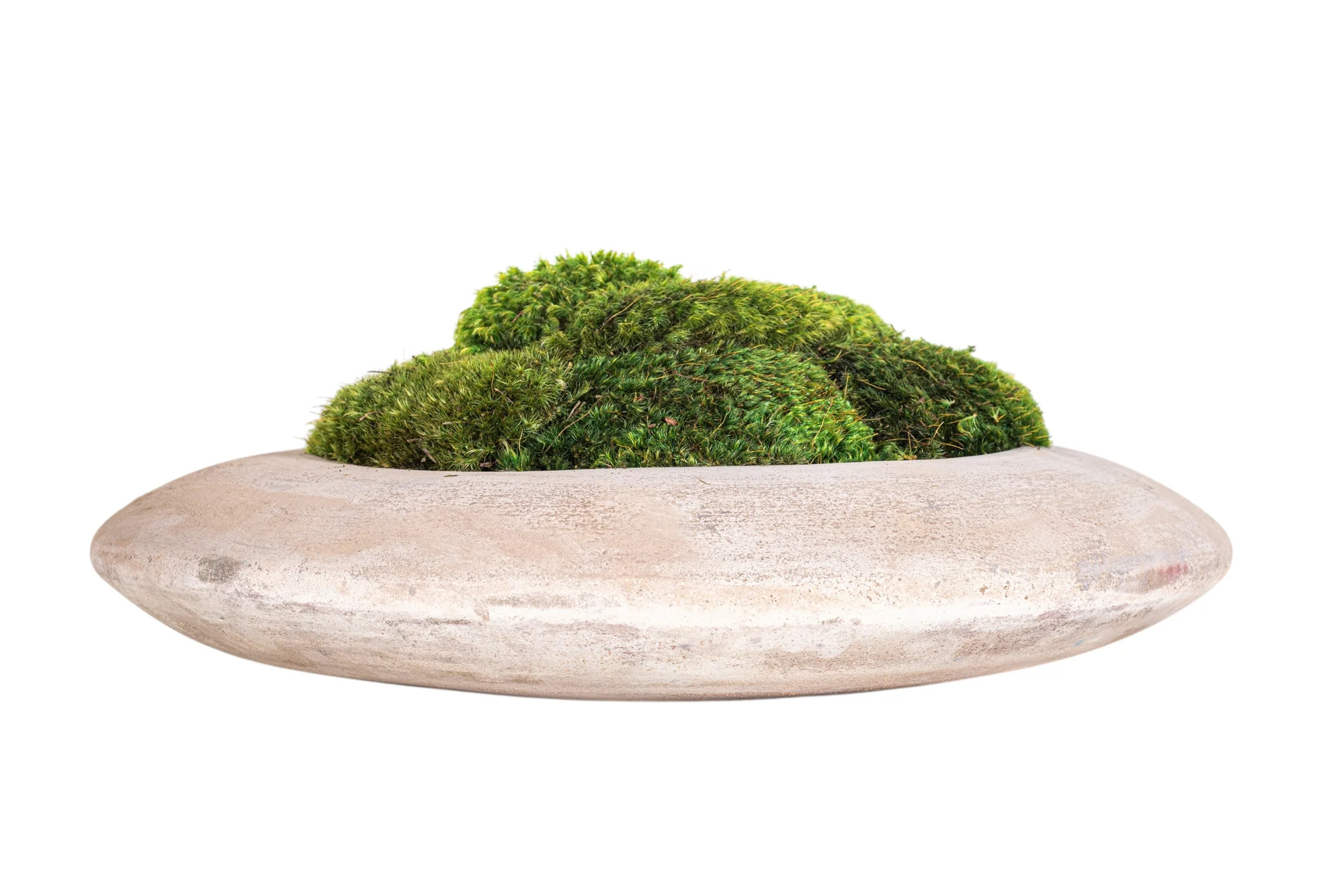 14" Flying Saucer with Mood Moss AR1181 - Image 2