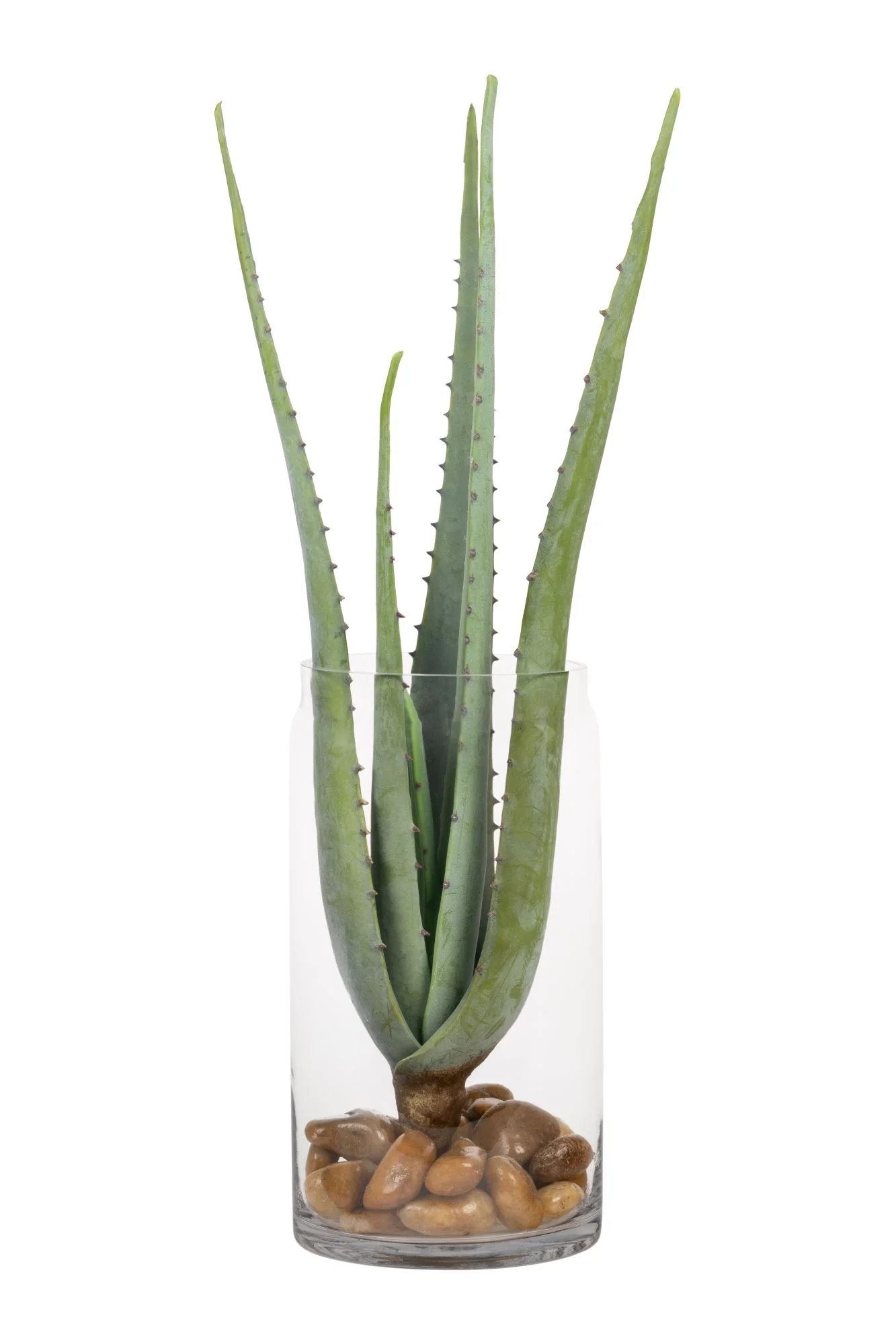 14" Kailee Vase with Aloe AR1714
