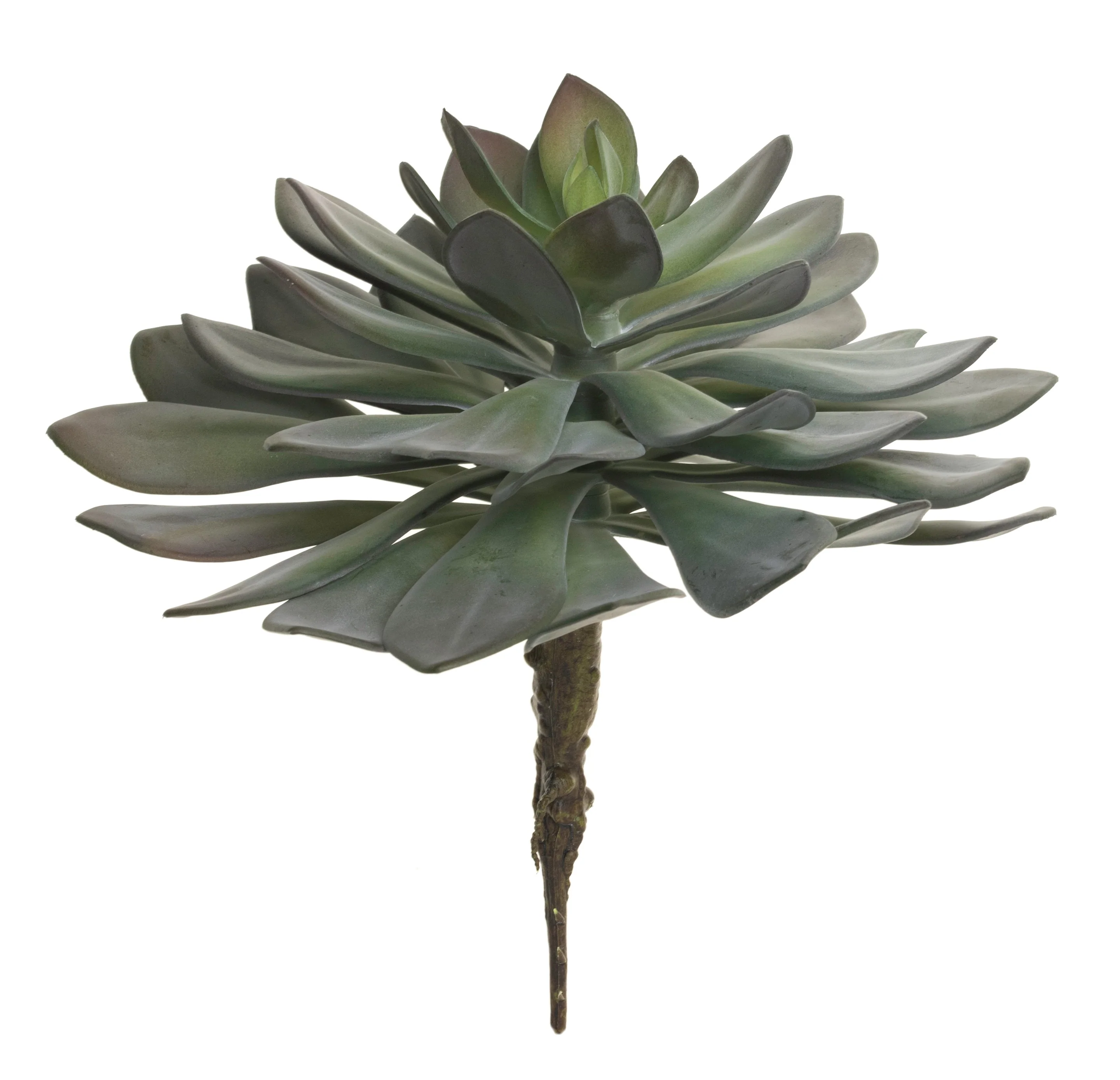 12” Succulent Stem   SU1061