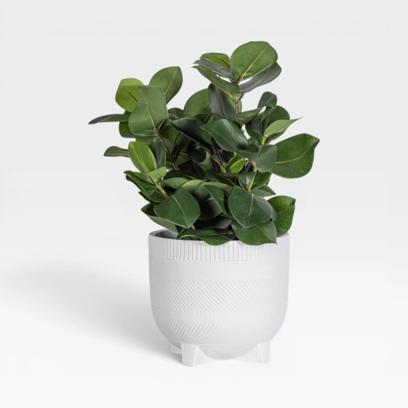 18" Clusia Arrangement AR1934 - Image 4