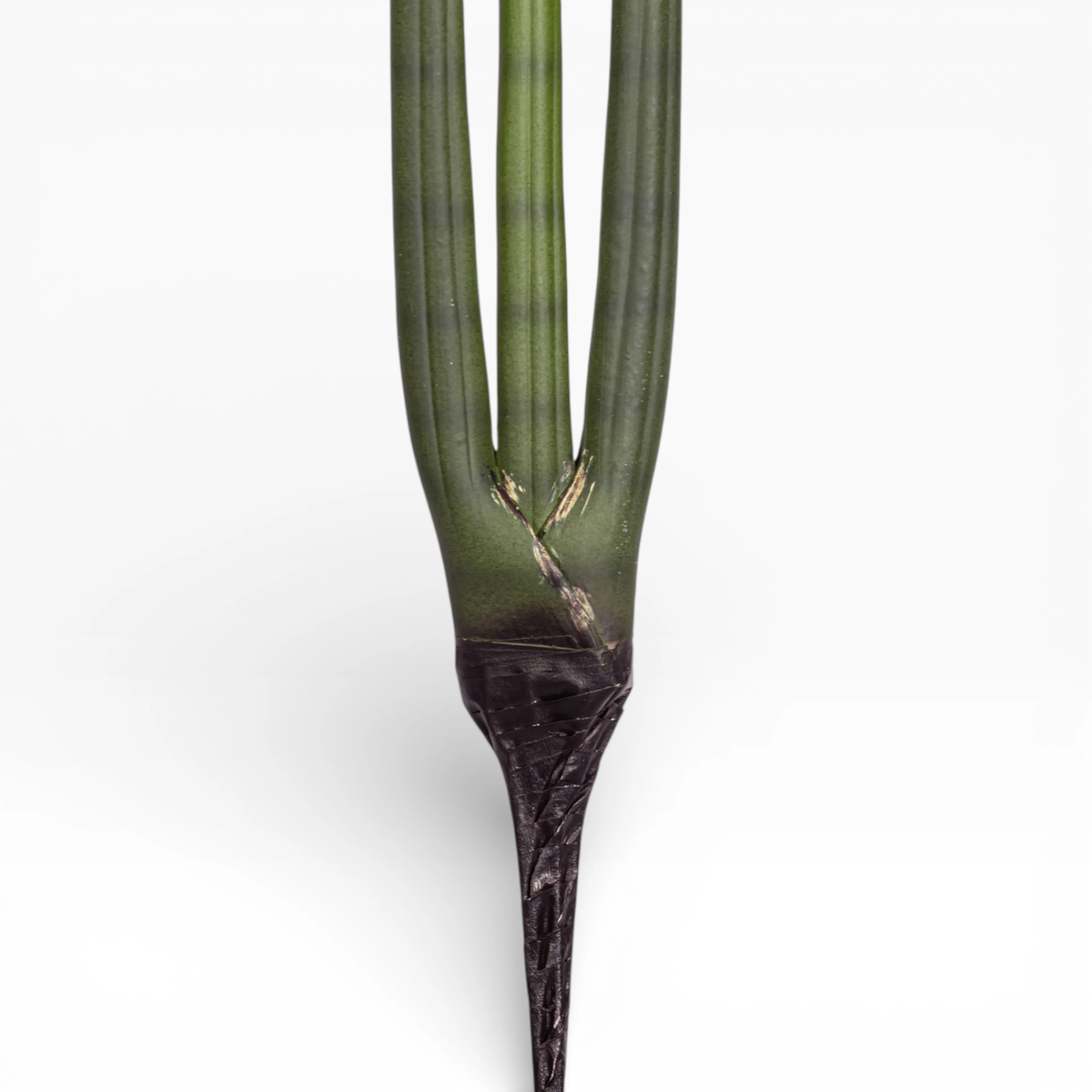 20.5" Sanseveria Stem   ST1198 - Image 3