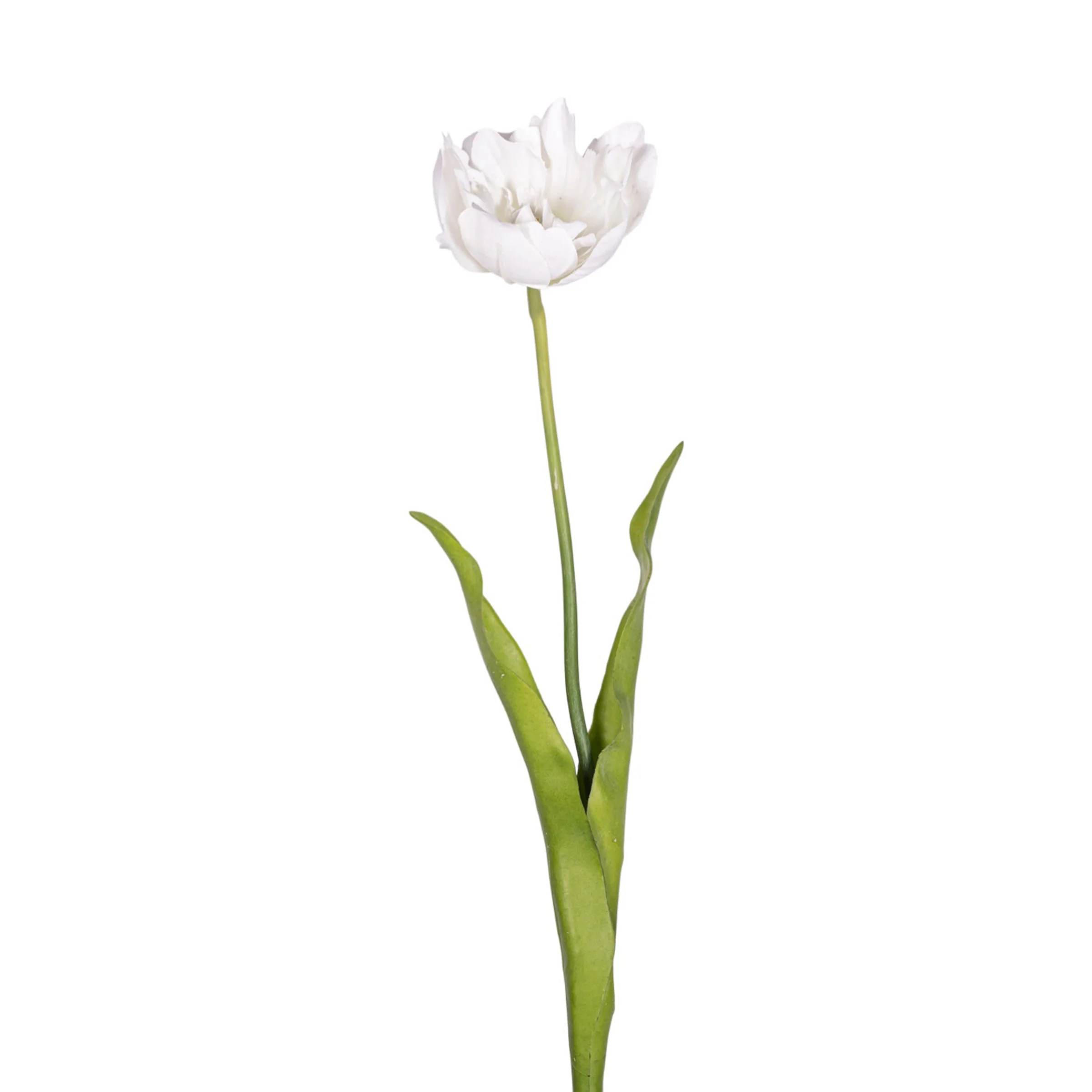 21" Parrot Tulip Stem FL1093