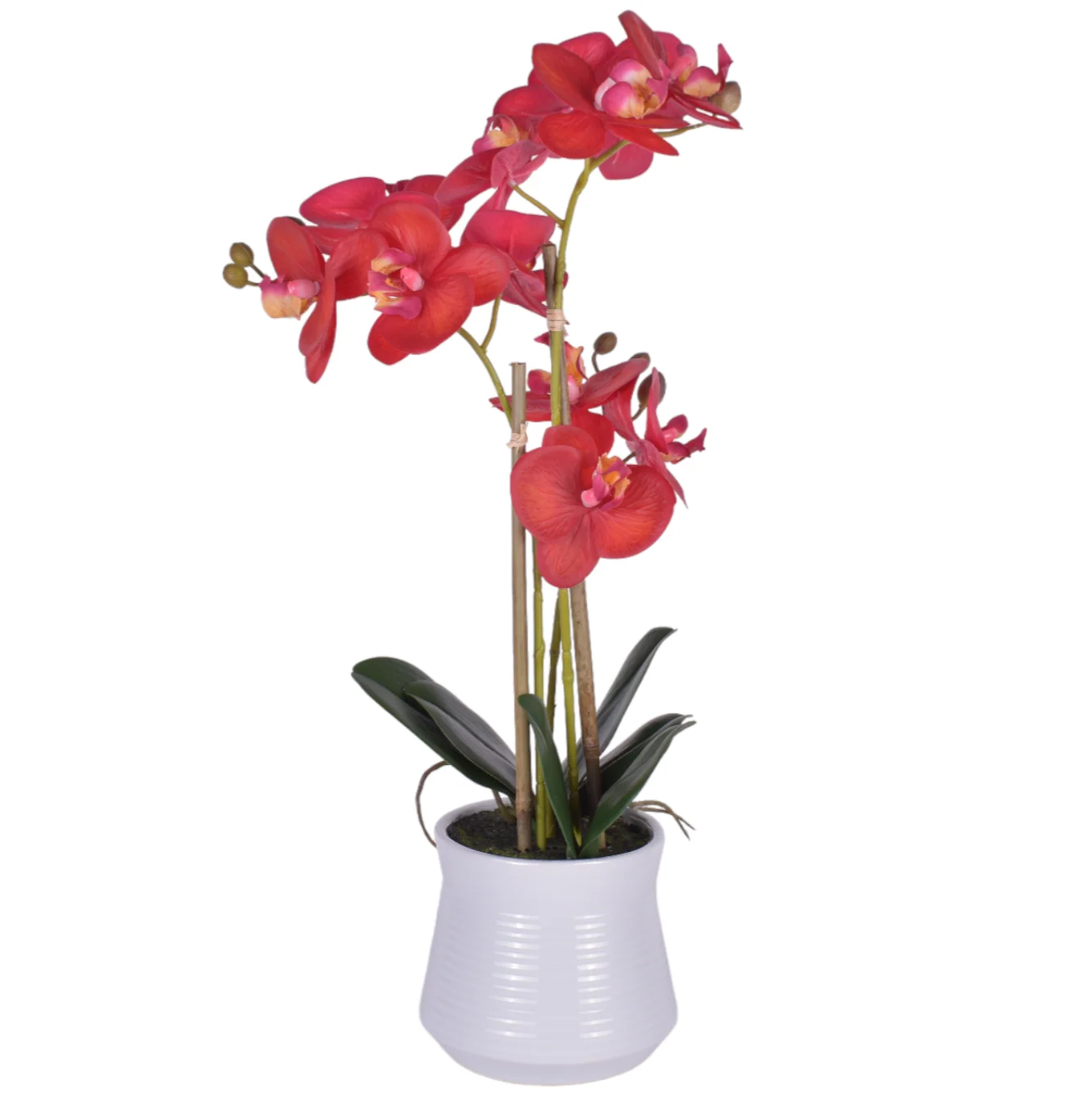 22" Real Touch Orchid Arrangement PP1059
