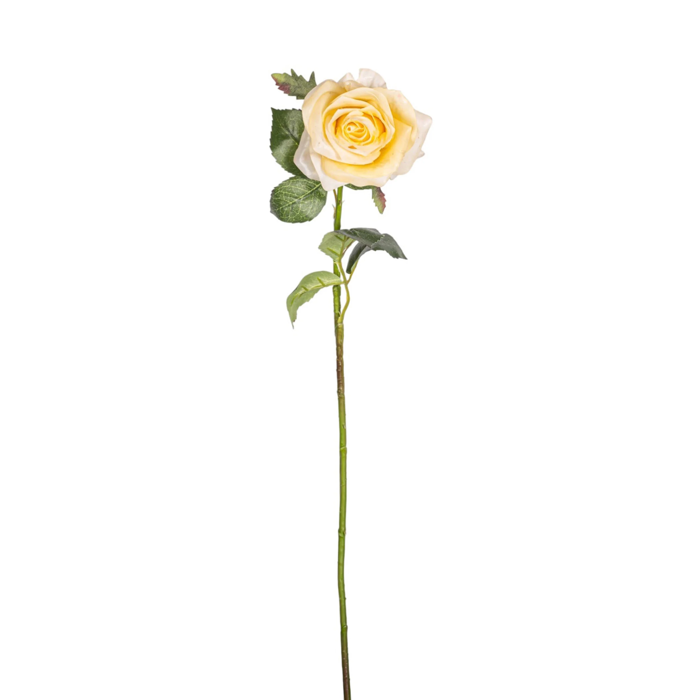 21" Rose Stem  FL1074 - Image 2