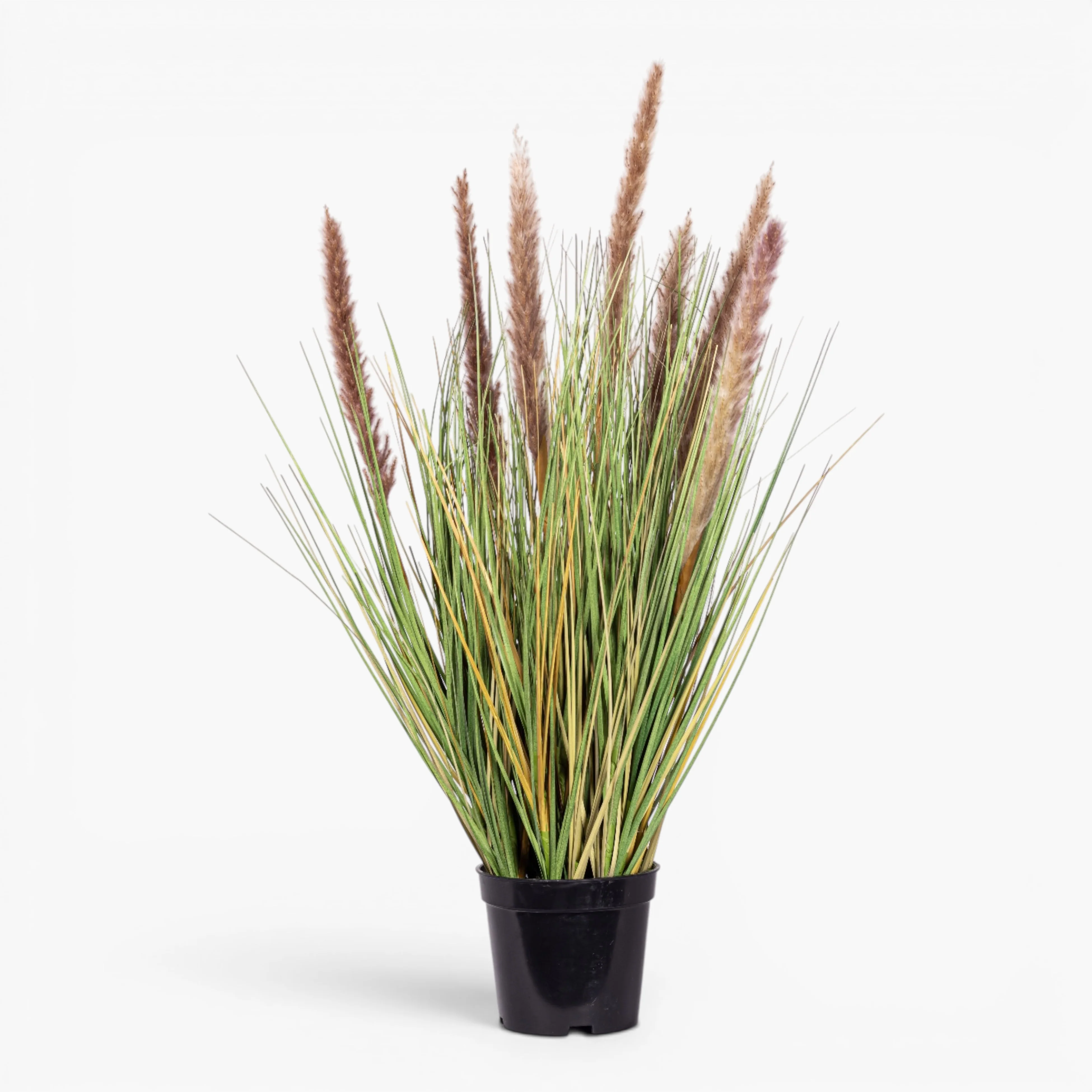 22.5" Natural Foxtail Grass - UV Treated PP1077