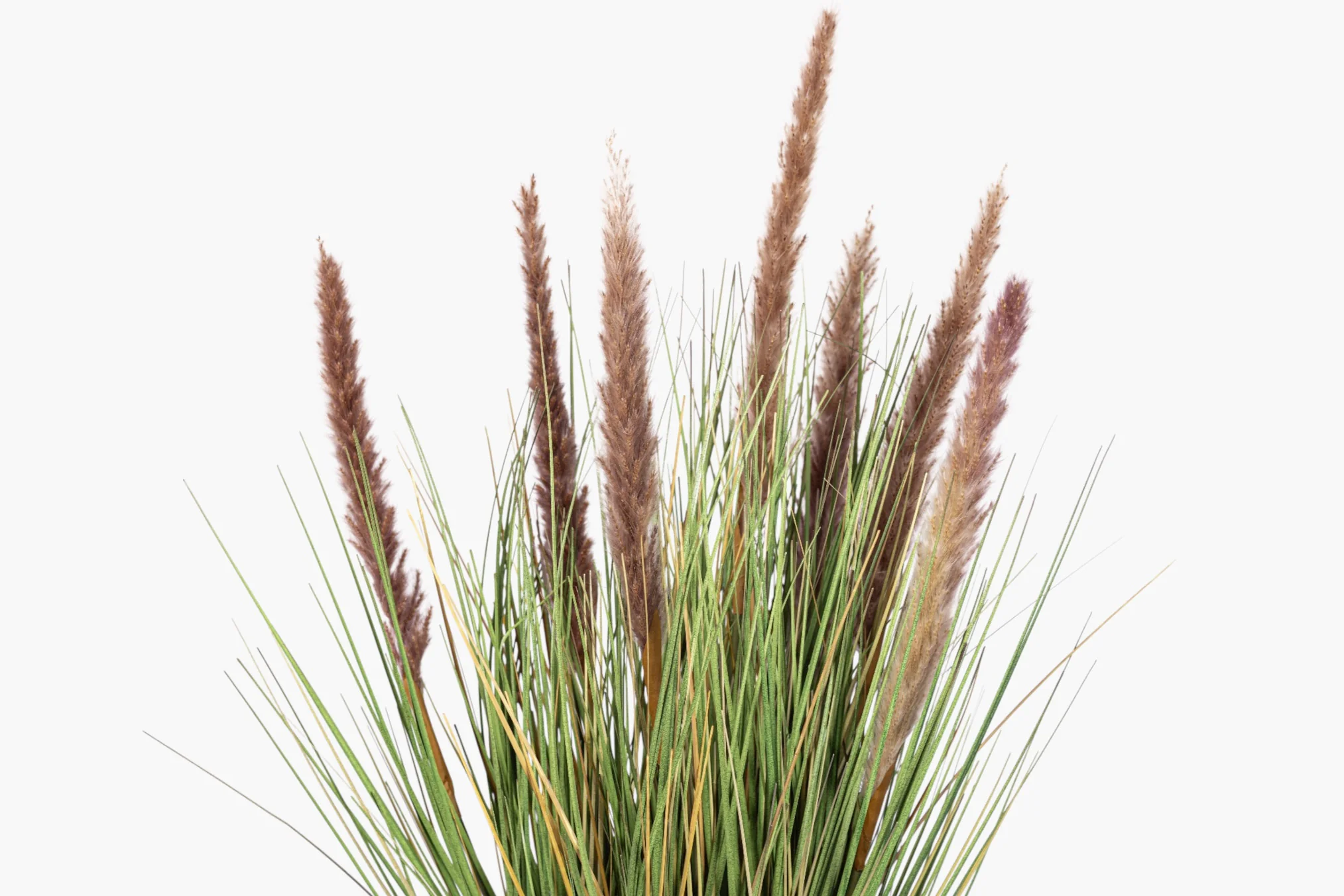 22.5" Natural Foxtail Grass - UV Treated PP1077 - Image 2
