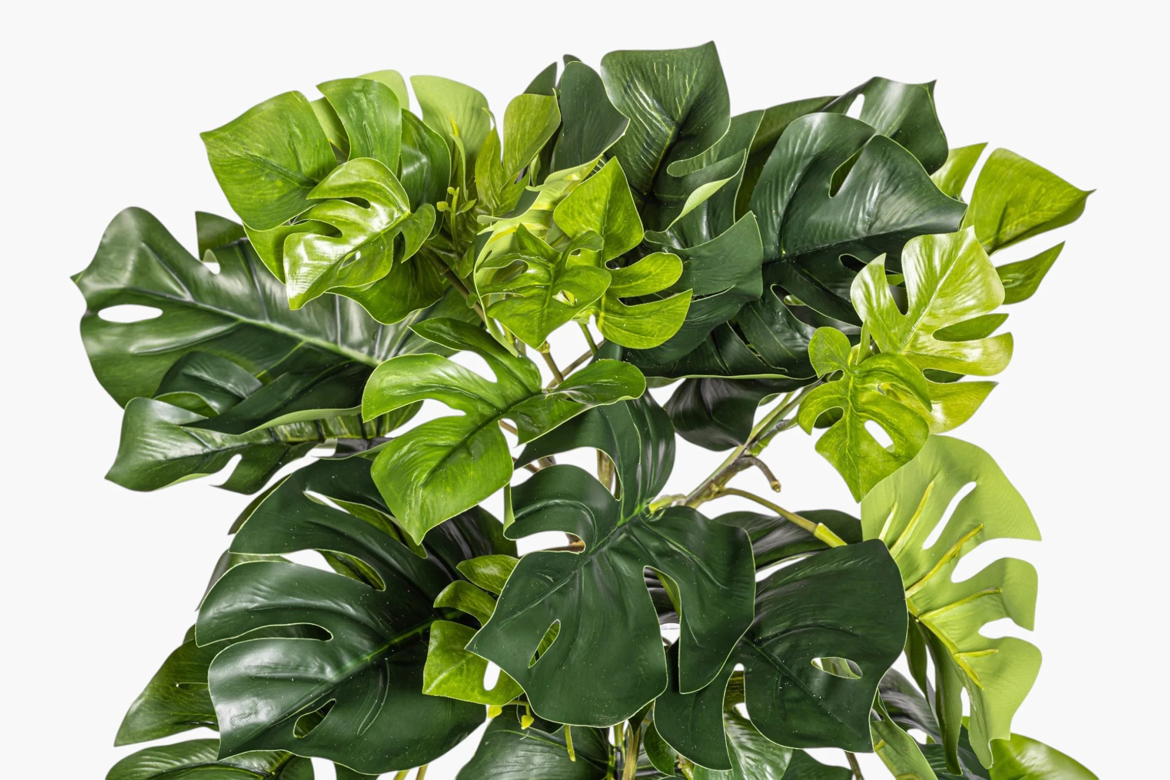 22" Hanging Split Philodendron Stem - UV Treated ST1242 - Image 2