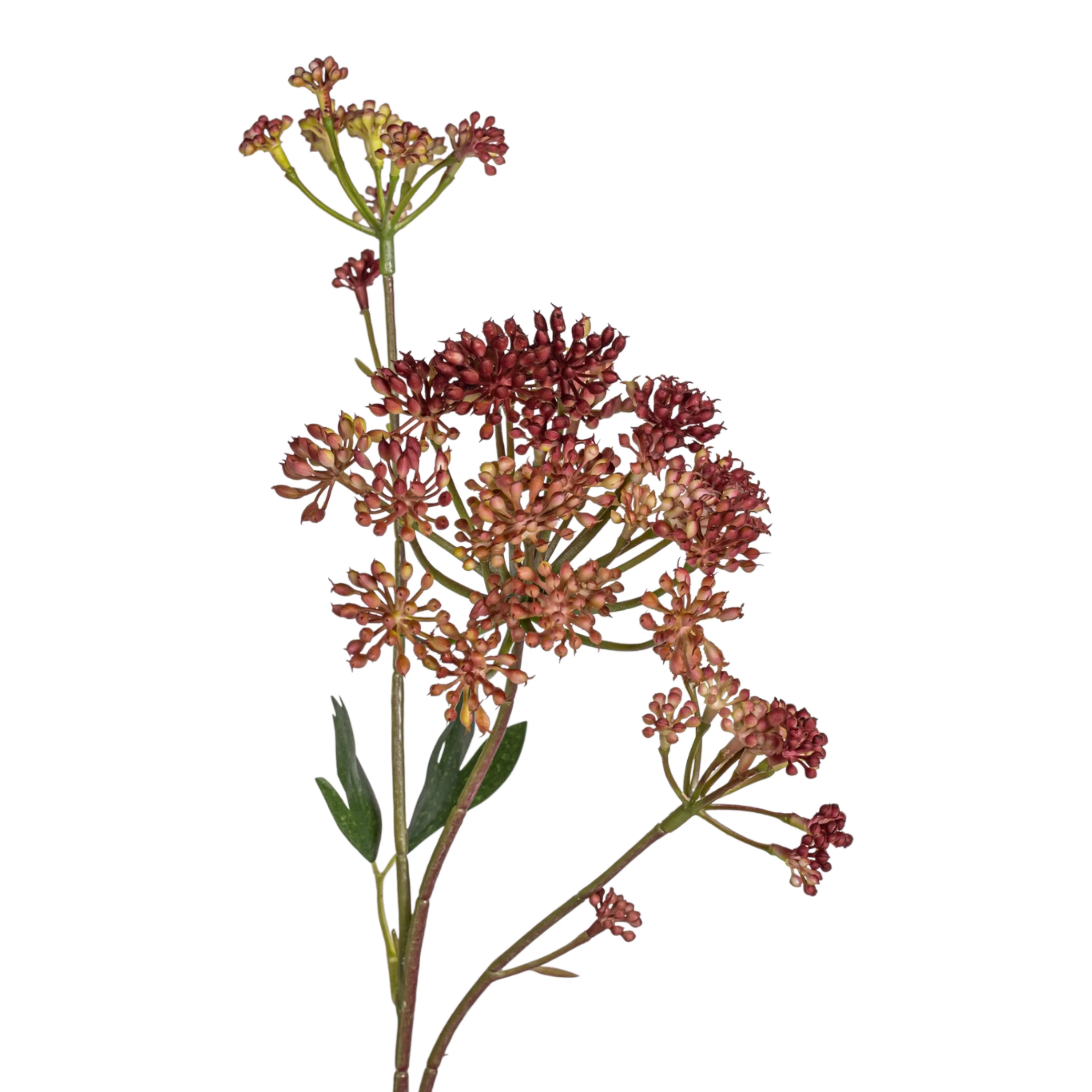 24.5" Angelica Flower Stem FL1088 - Image 2