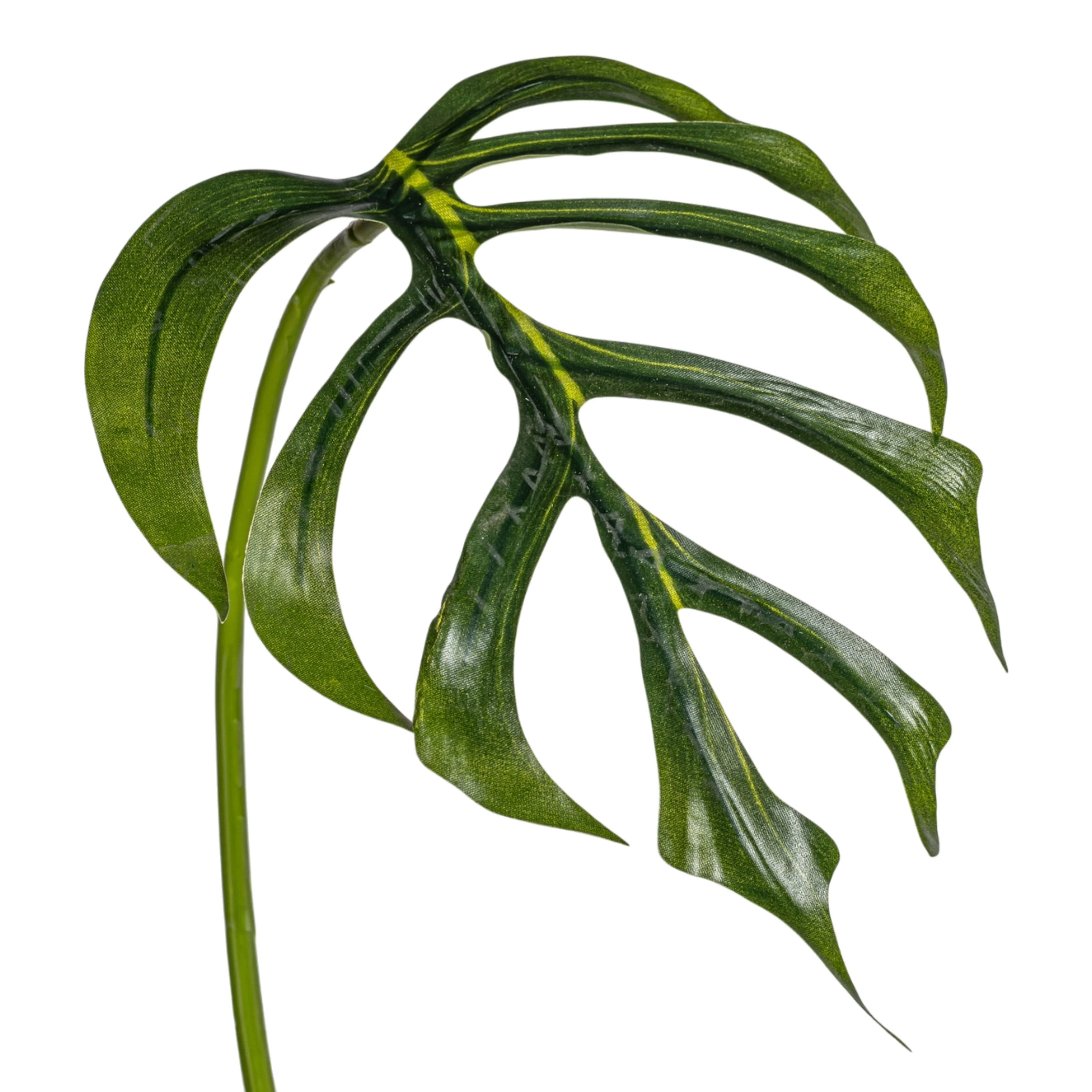 25.5" Monstera Dilacerata Leaf Stem ST1214 - Image 2