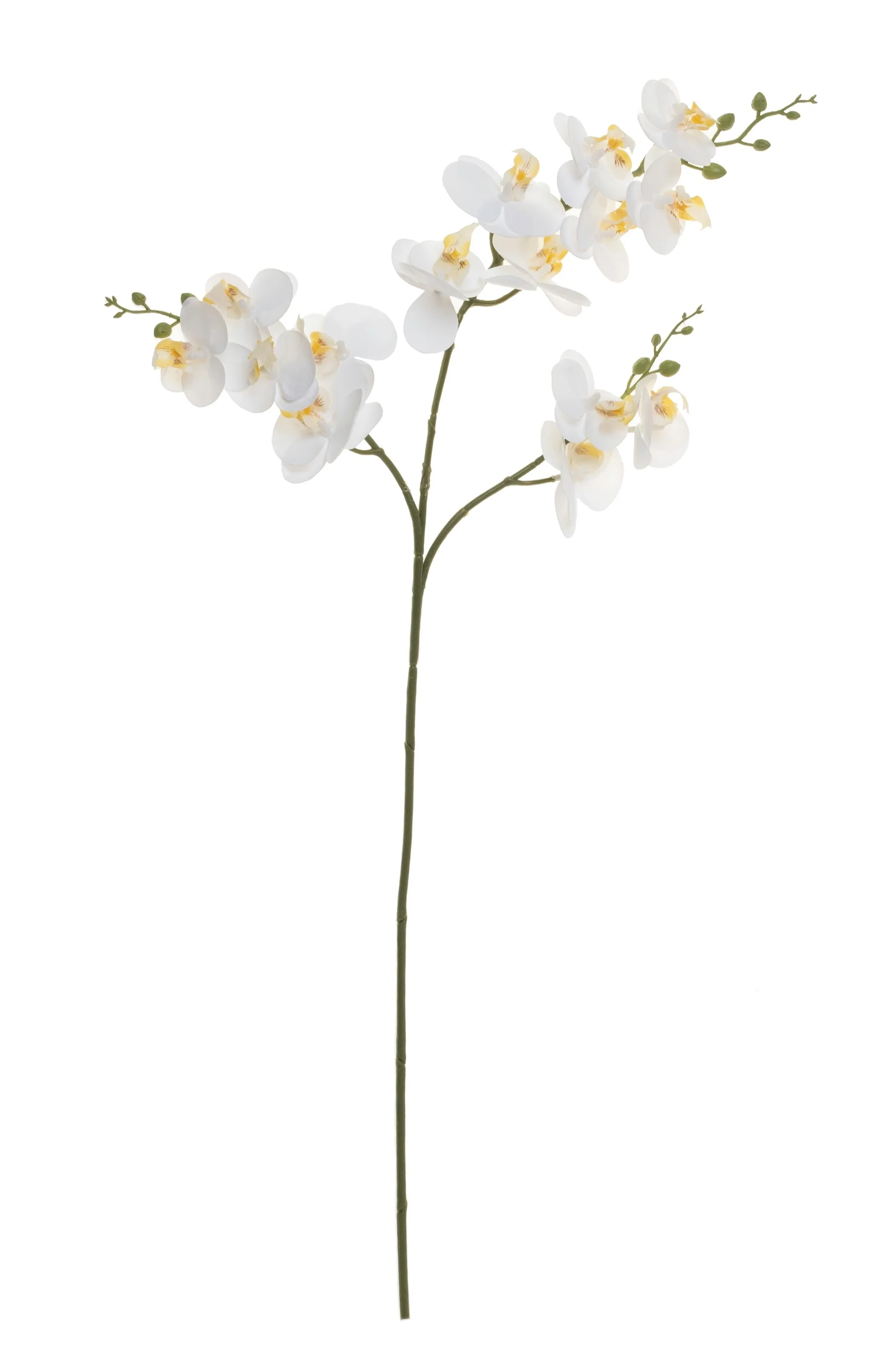 30" Real Touch Phalaenopsis Orchid - White   FL1024