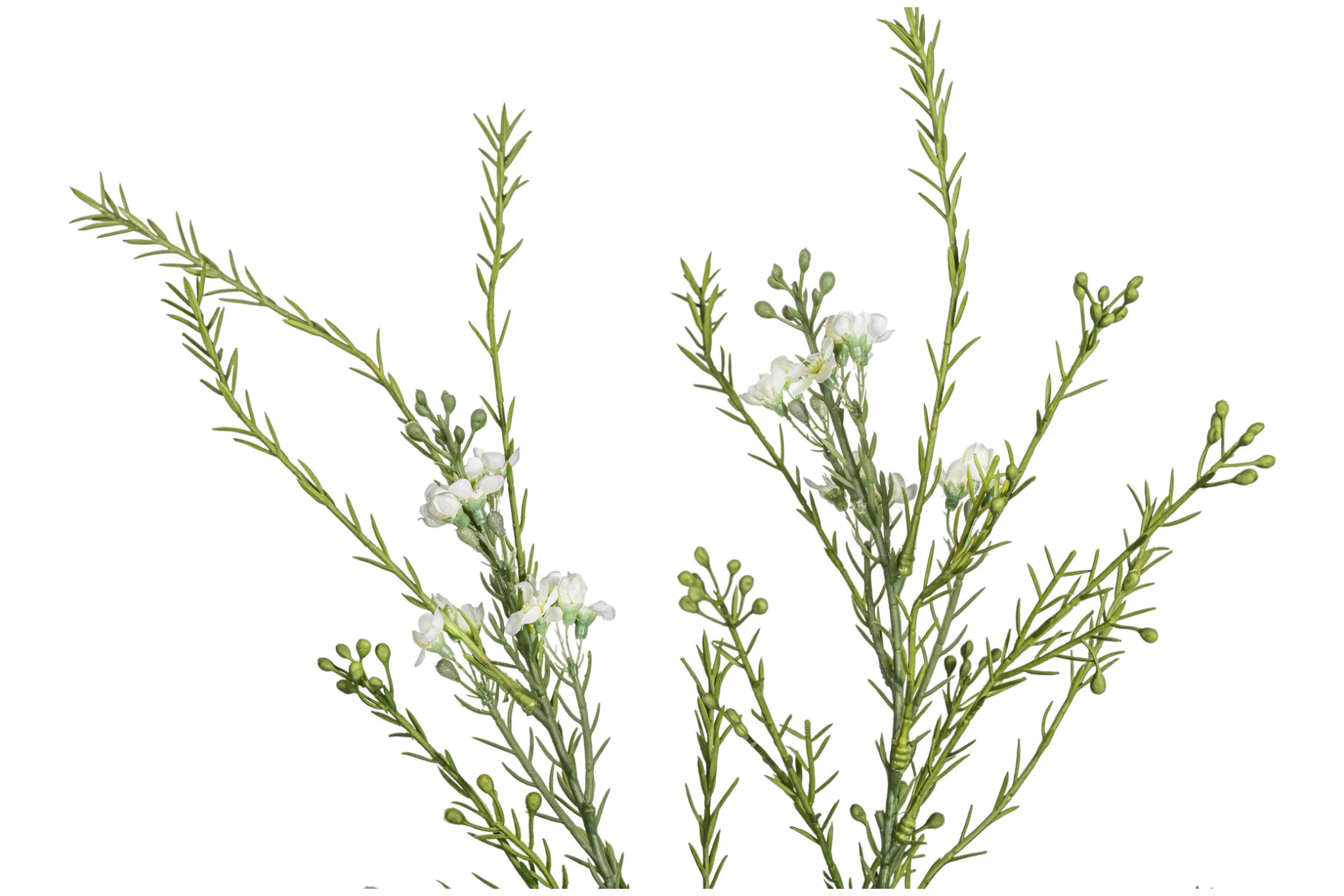 29" Myrtle Stem ST1203 - Image 2
