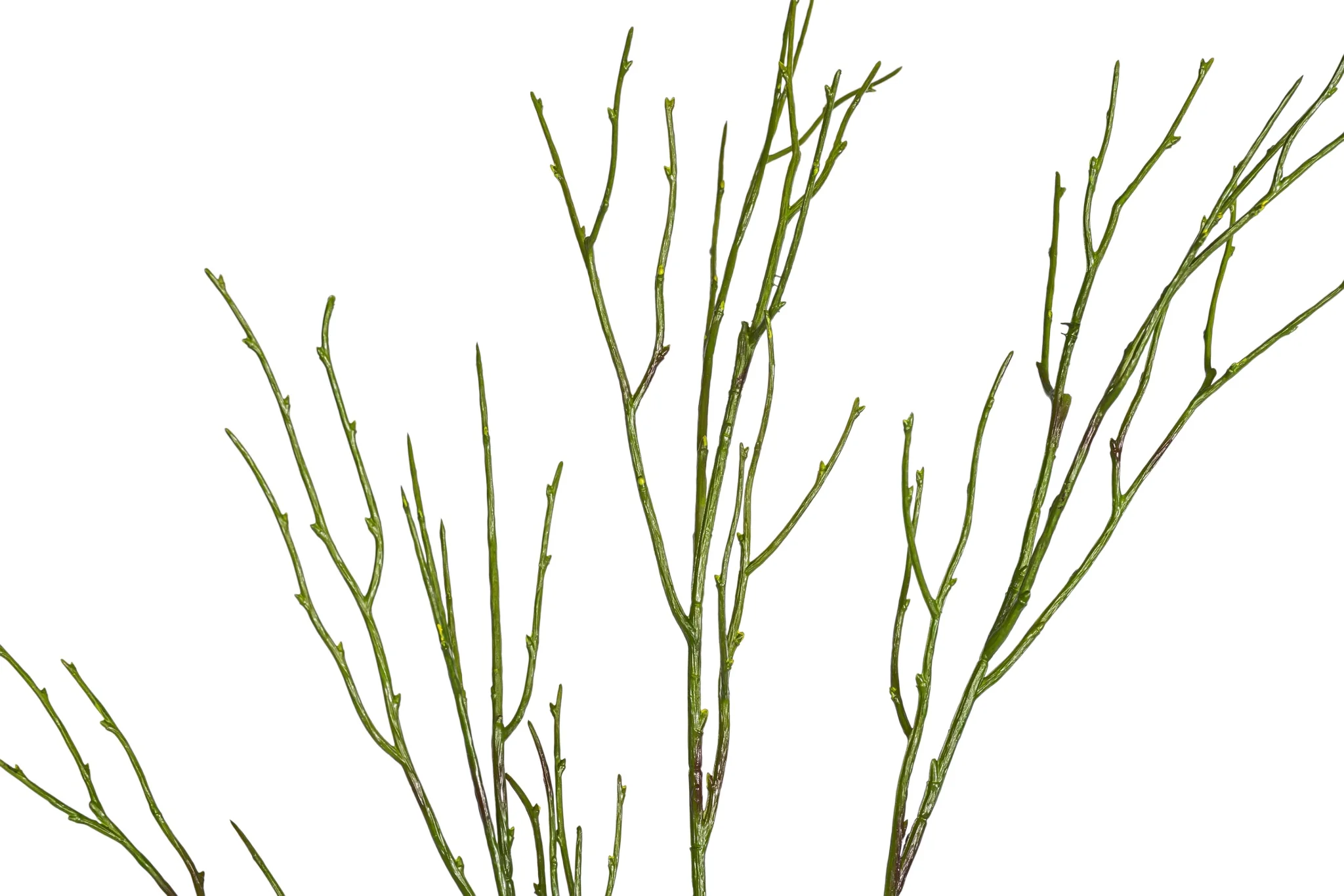 30" Pencil Stem ST1222 - Image 2