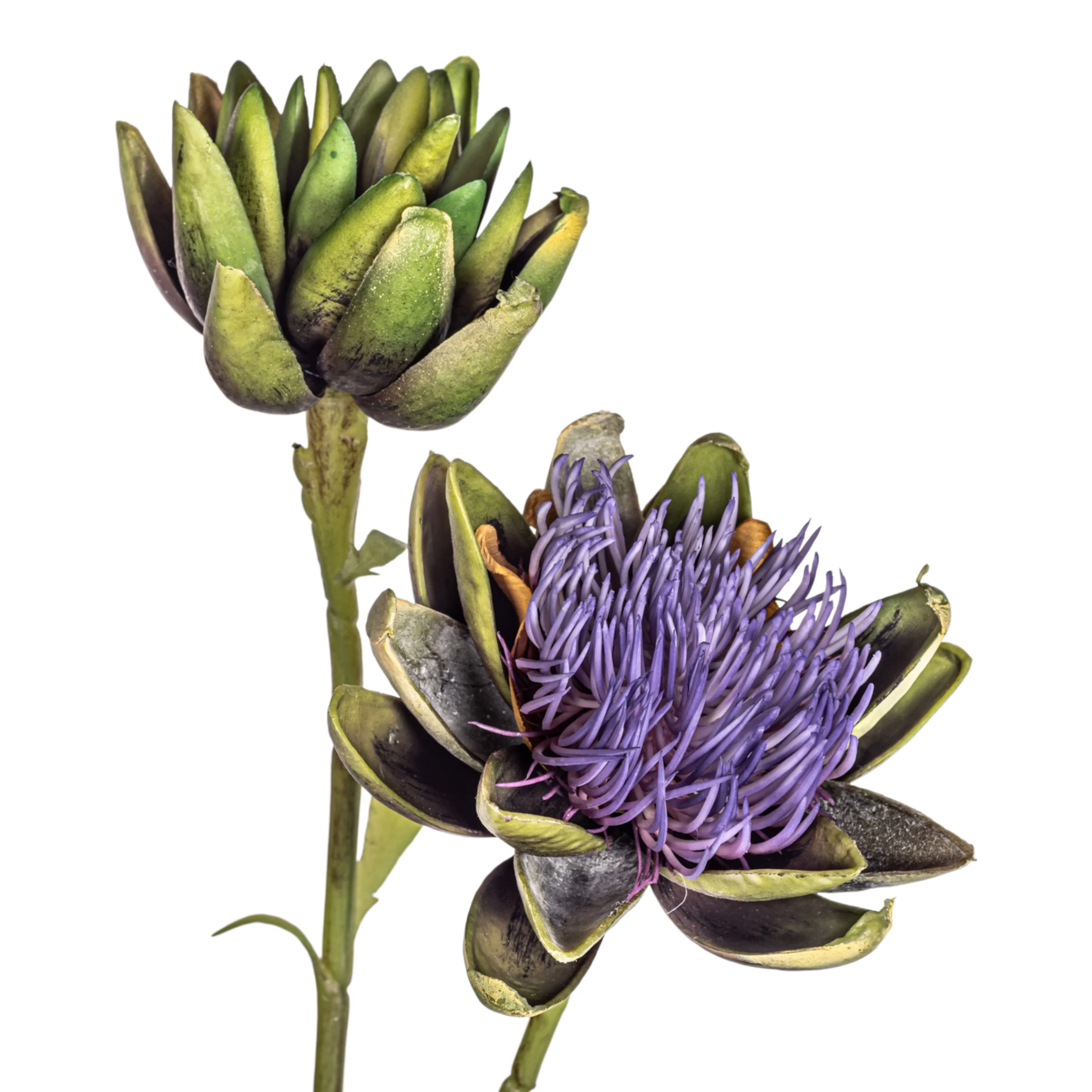 32" Artichoke Flower Stem FL1083 - Image 2