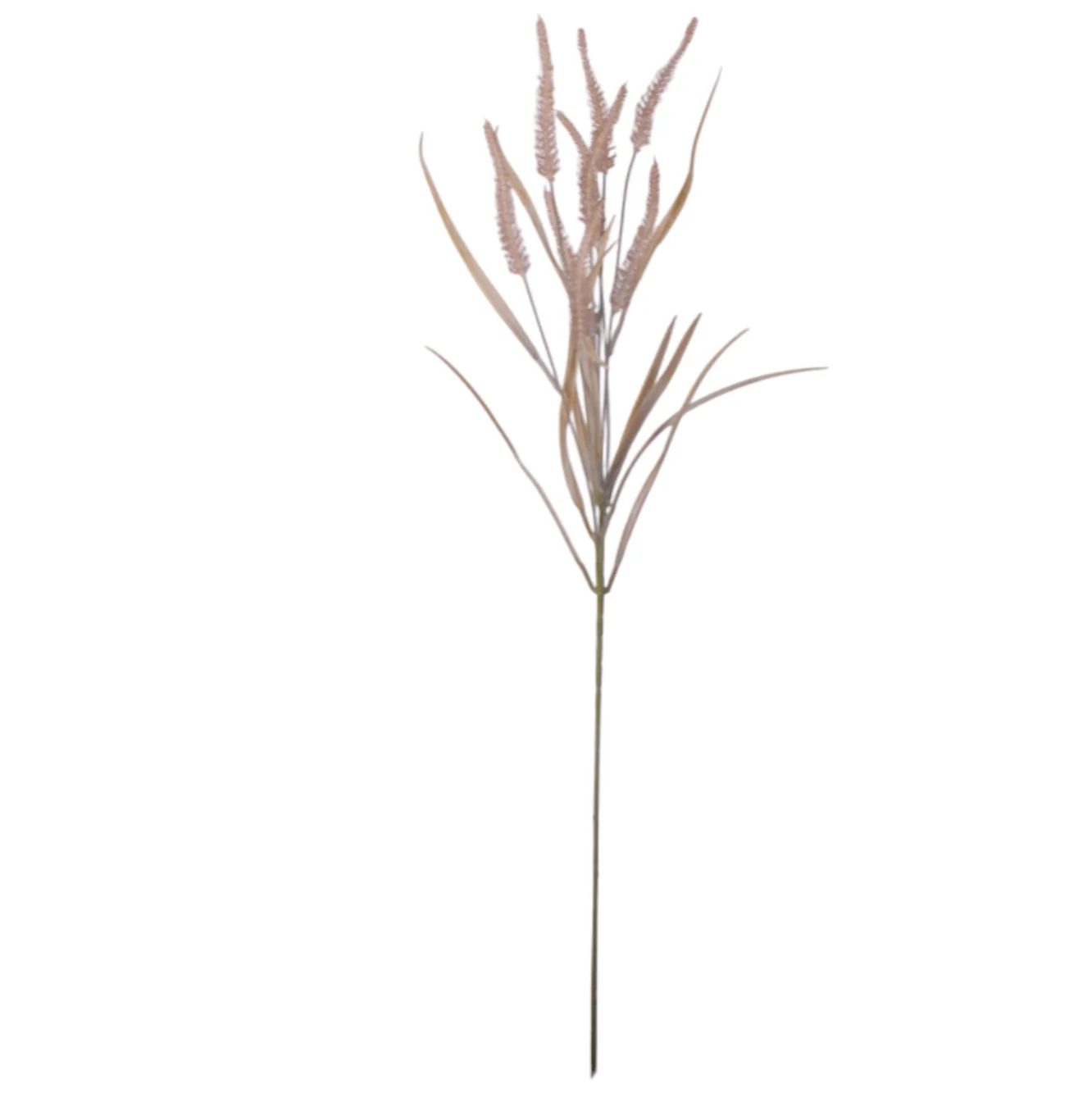 34” Brown Foxtail Stem-9 Heads   ST1188 - Image 2