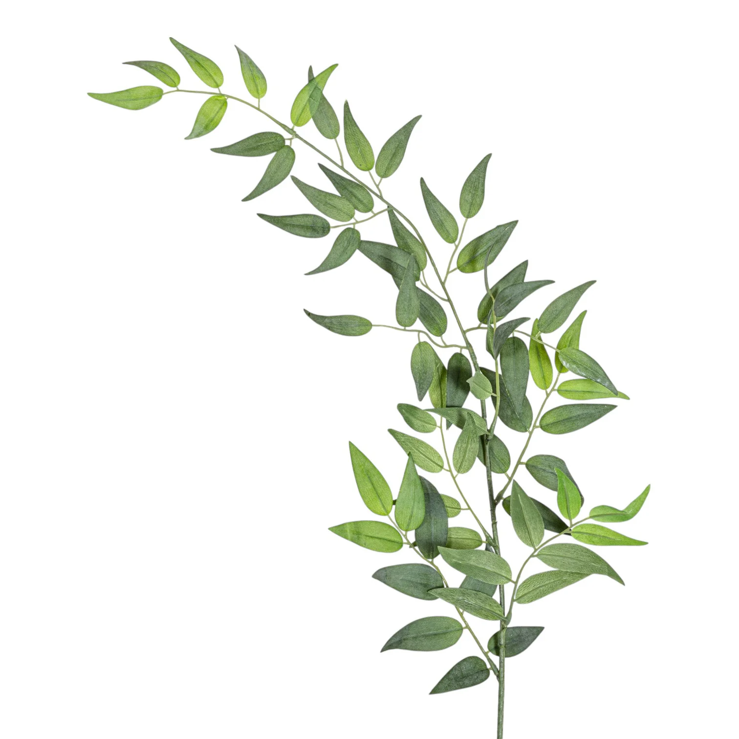 36" Italian Ruscus - UV Treated ST1197UV - Image 3