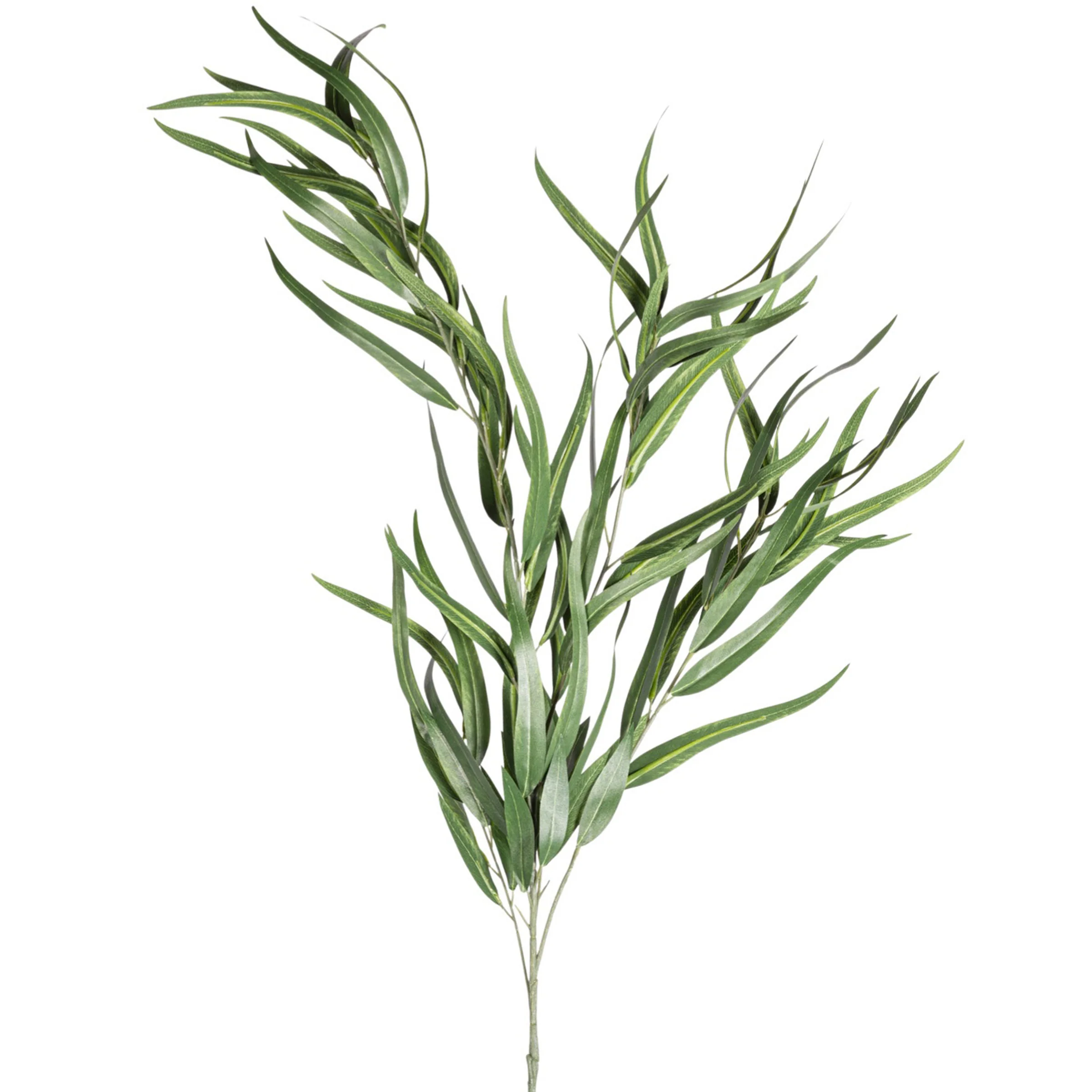 41" Sword Eucalyptus Stem ST1208