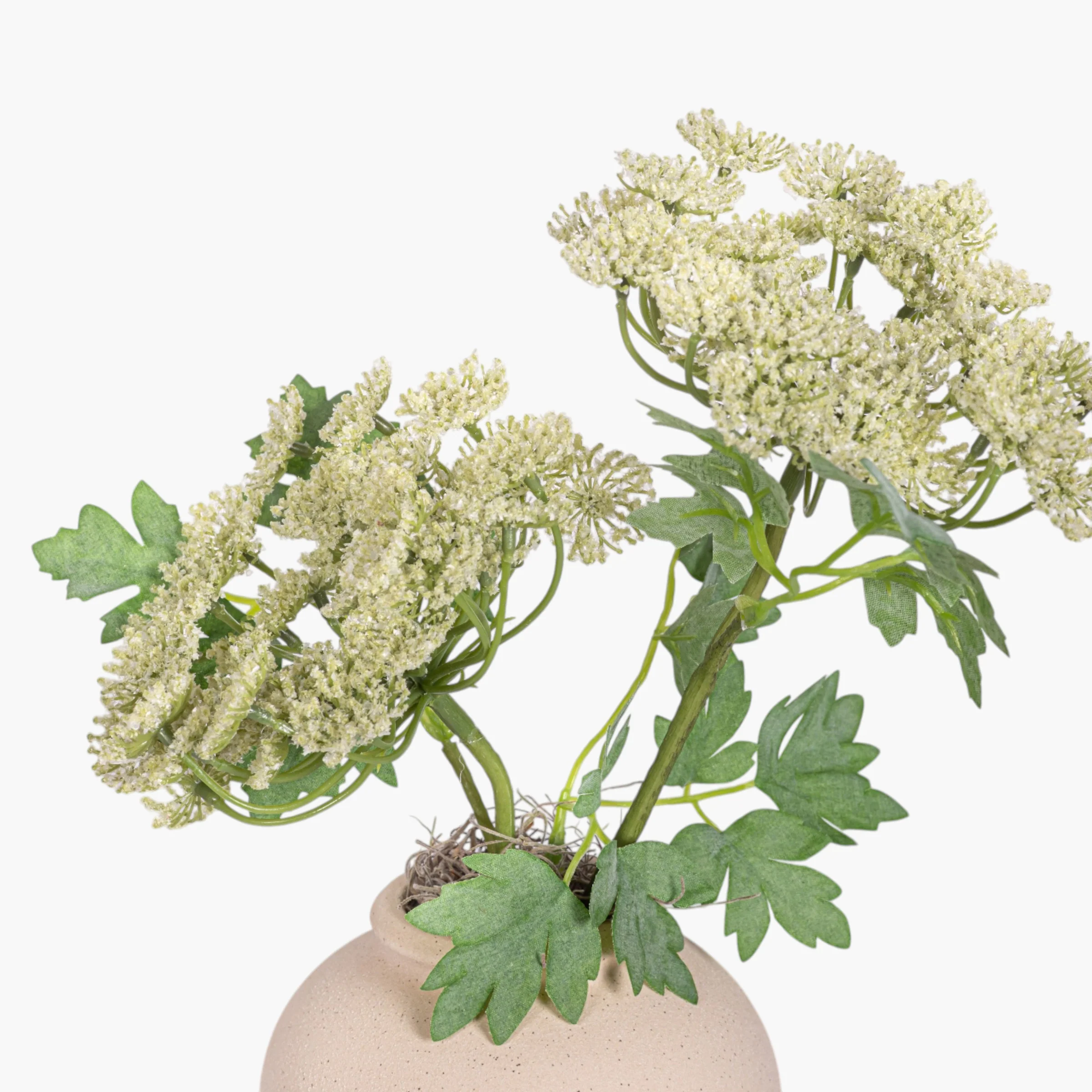 4.25" Stuart Bud Vase with Queen Anne's Lace AR1904 - Image 2