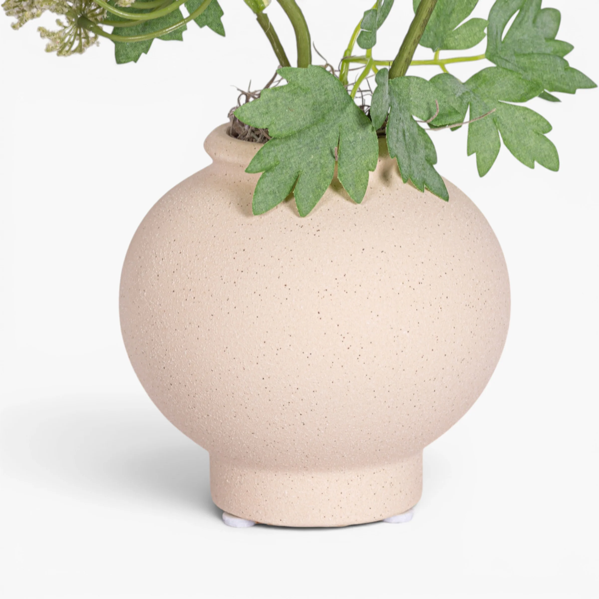4.25" Stuart Bud Vase with Queen Anne's Lace AR1904 - Image 3