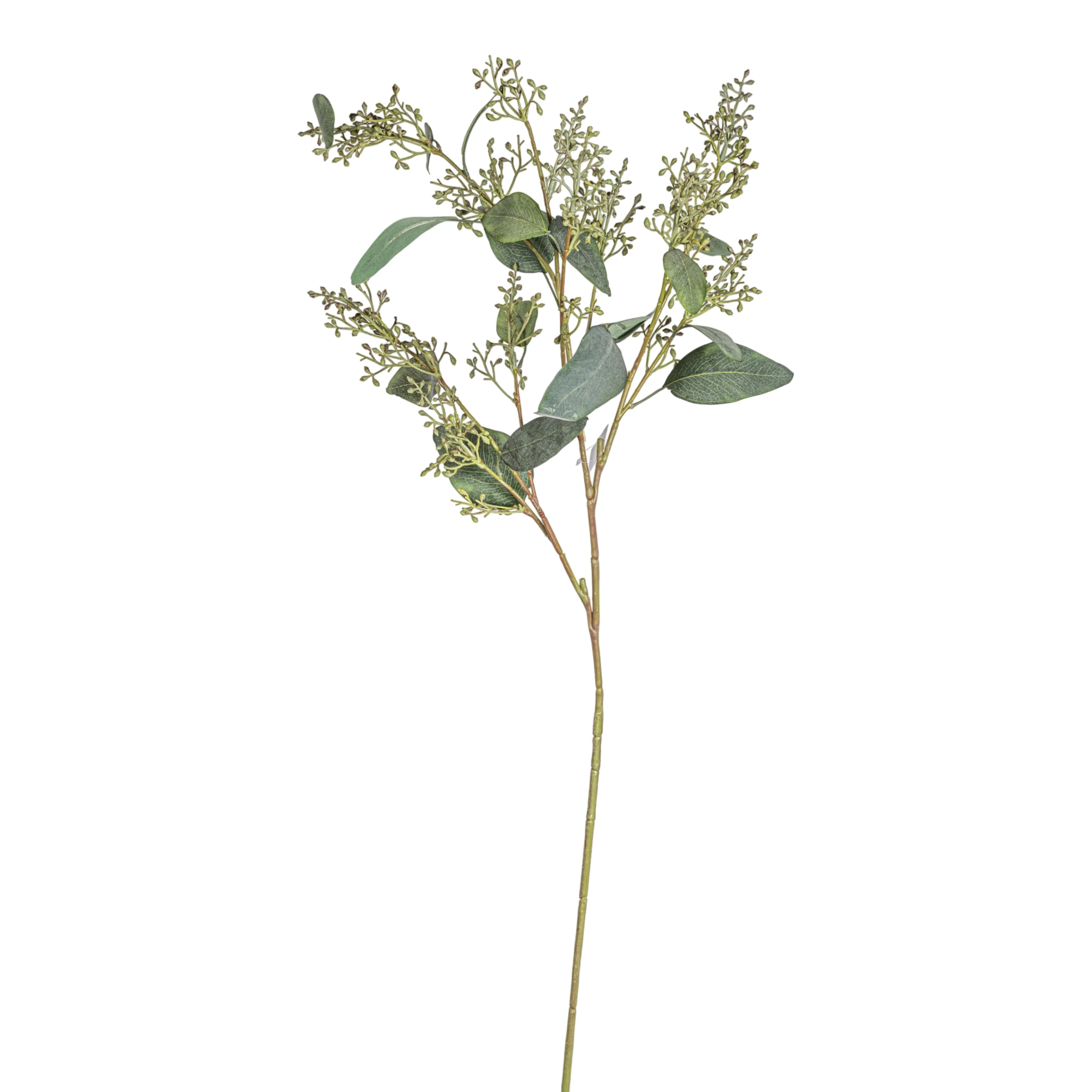 45" Eucalyptus Seed Stem   ST1226