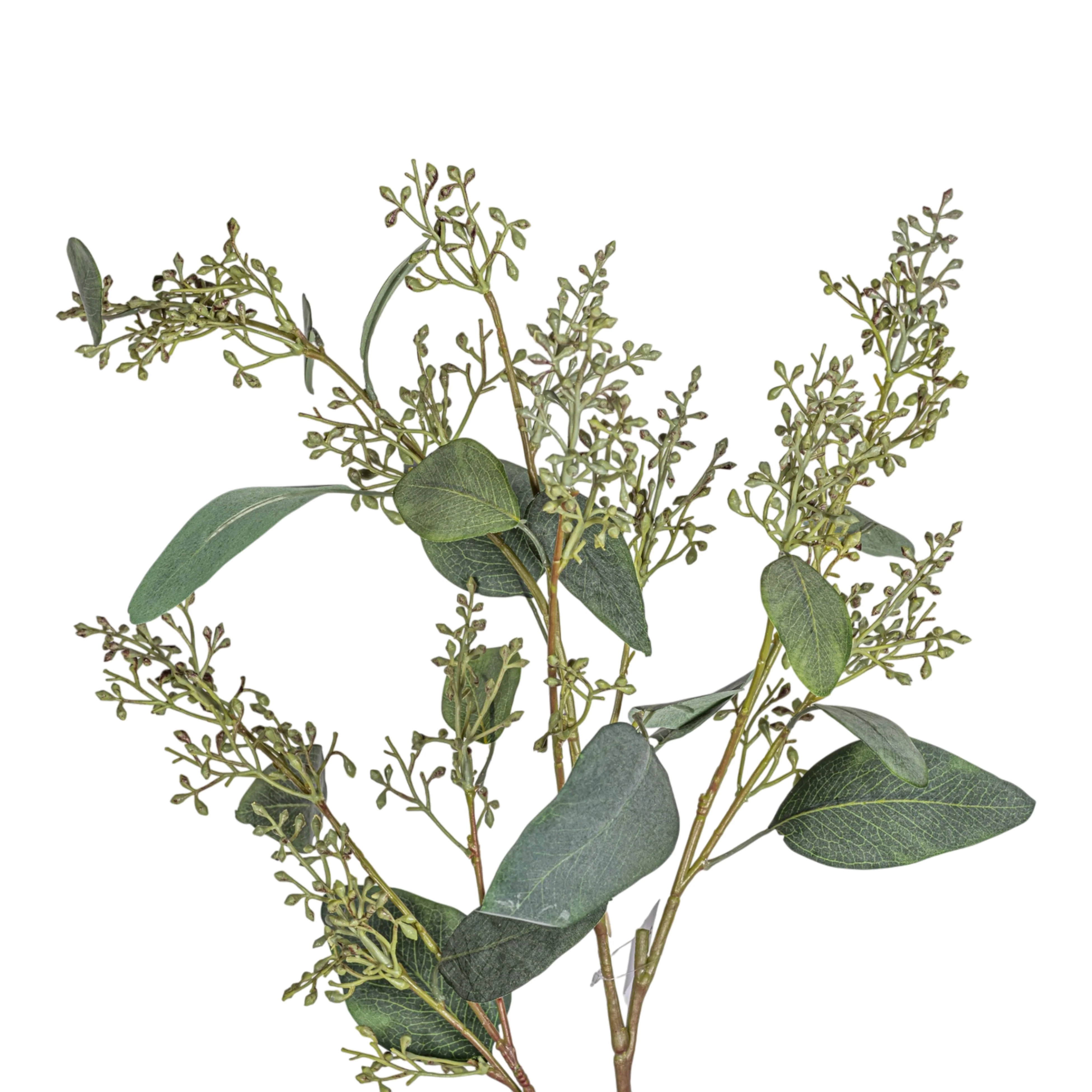 45" Eucalyptus Seed Stem ST1226 - Image 2