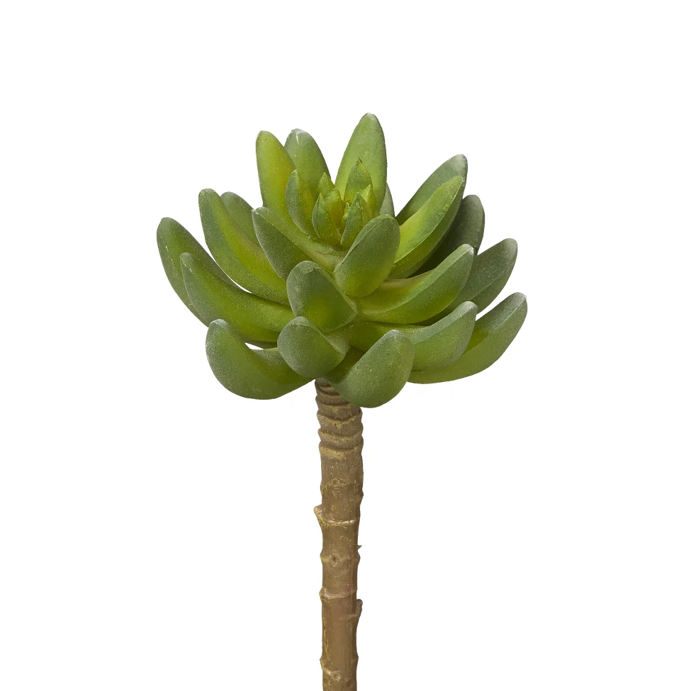 6" Single Stem Succulent - UV Treated SF1003UV