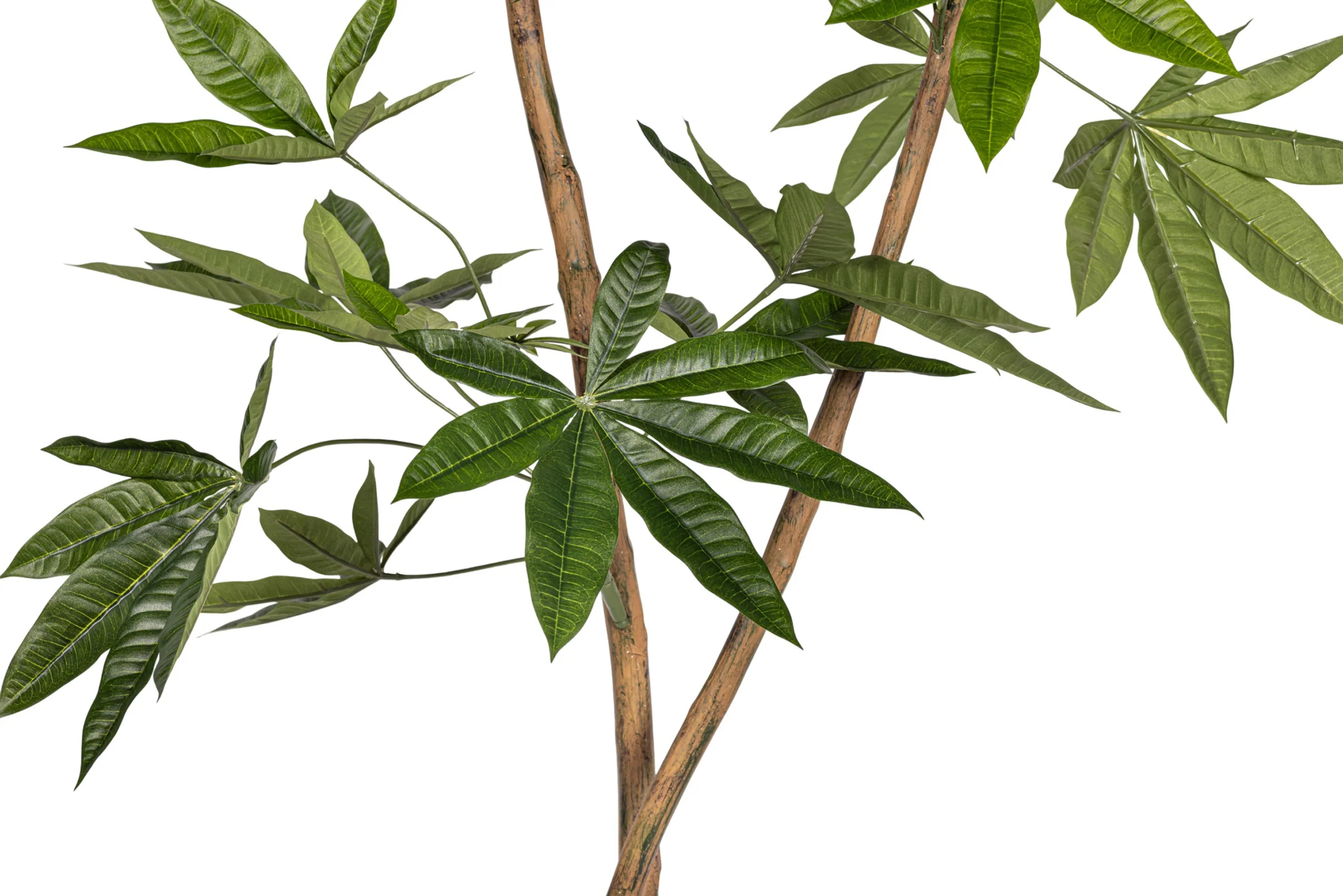 6' Money Tree FP1413 - Image 5