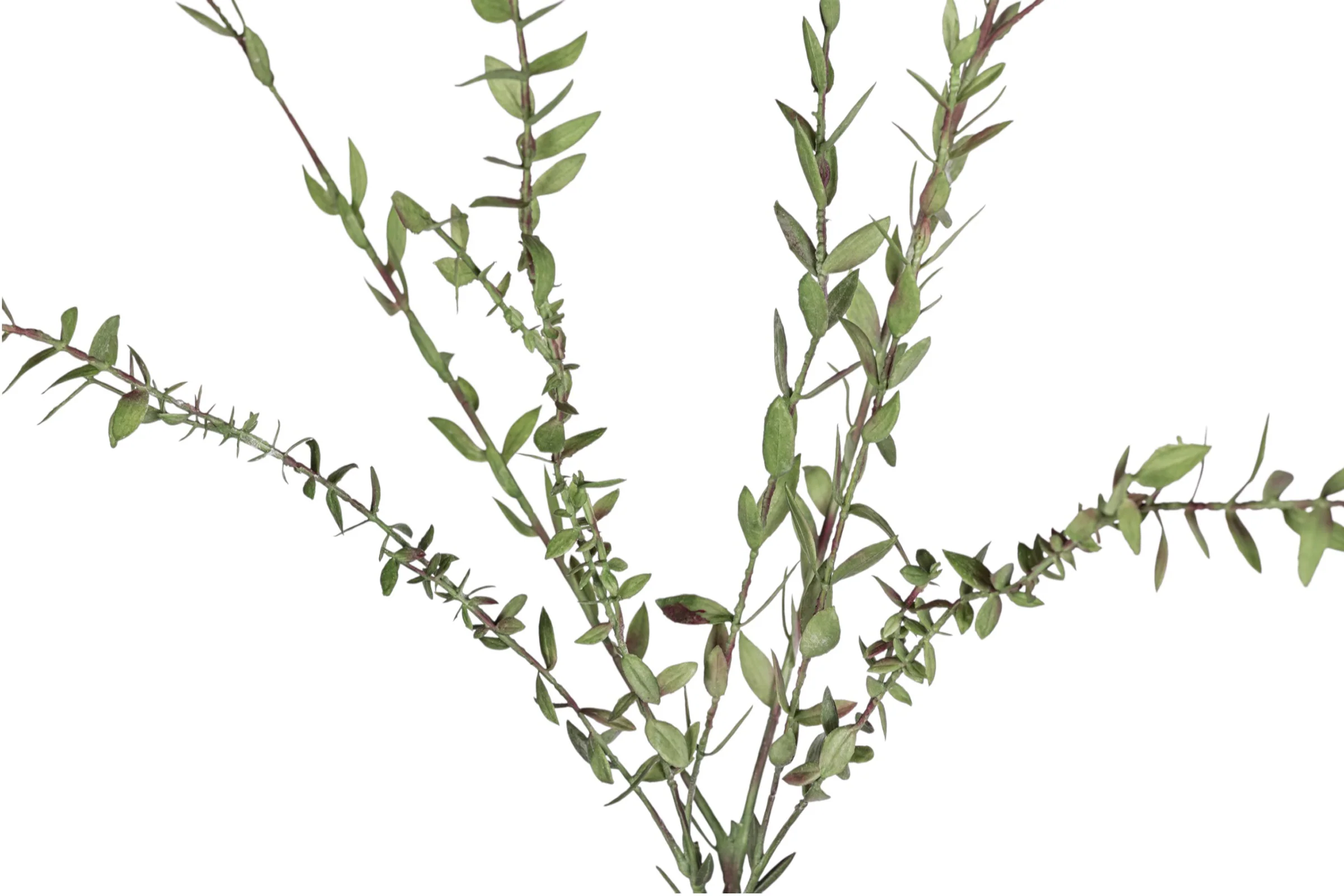 52" Eucalyptus Spray Stem   ST1218 - Image 2
