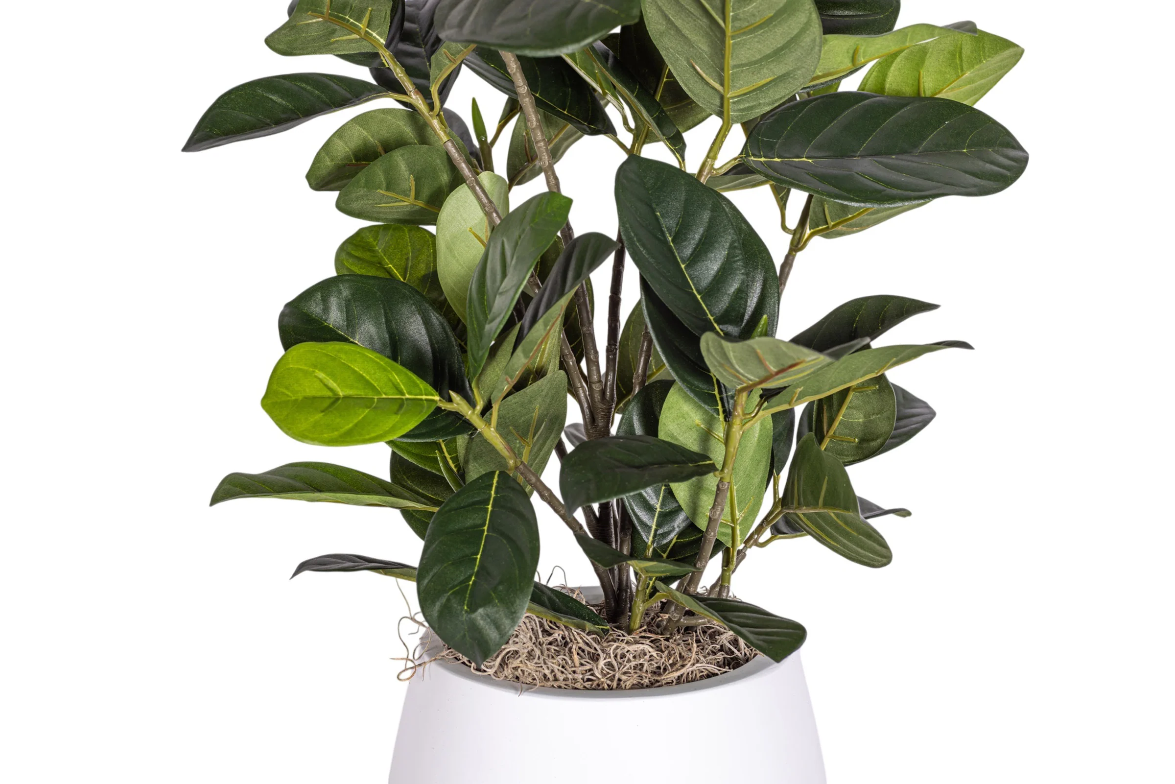 7" Gail Pot with Artocarpus Arrangement AR1881 - Image 3