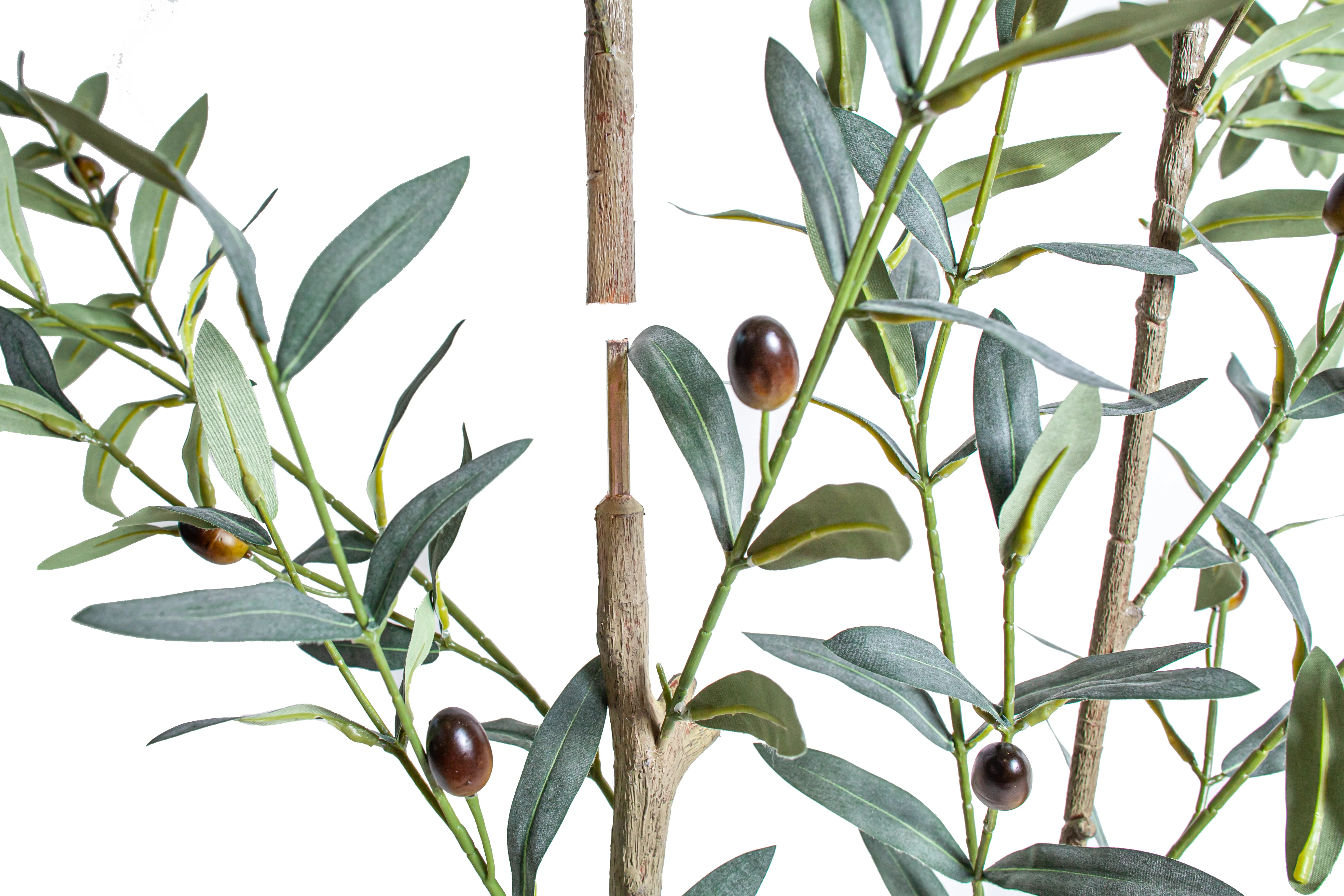 6' Olive Tree     FP1502 - Image 3