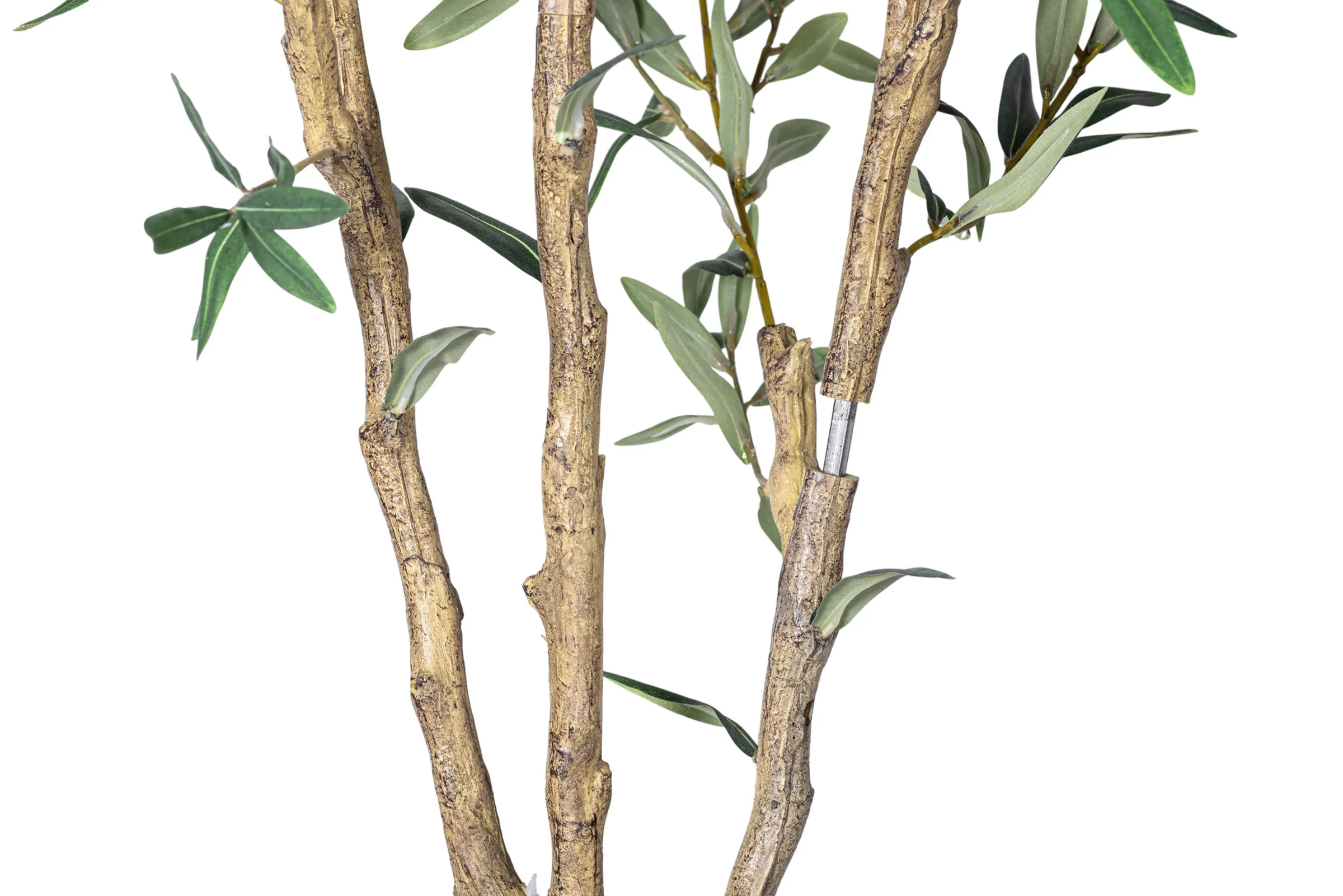 7' Olive Tree in Round Tapered Pot with Green Moss FP1442 - Image 6