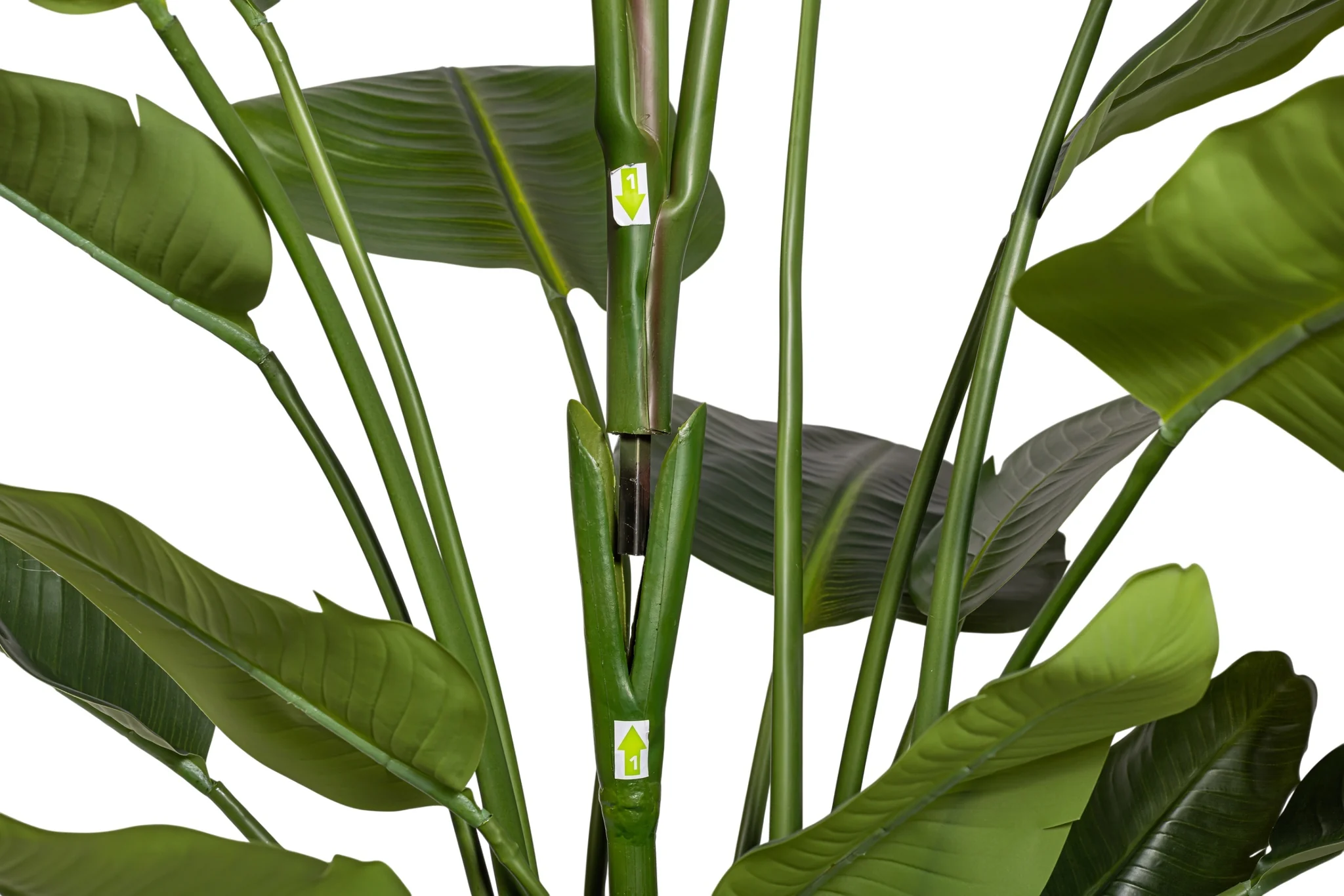6' Bird of Paradise FP1424 - Image 5