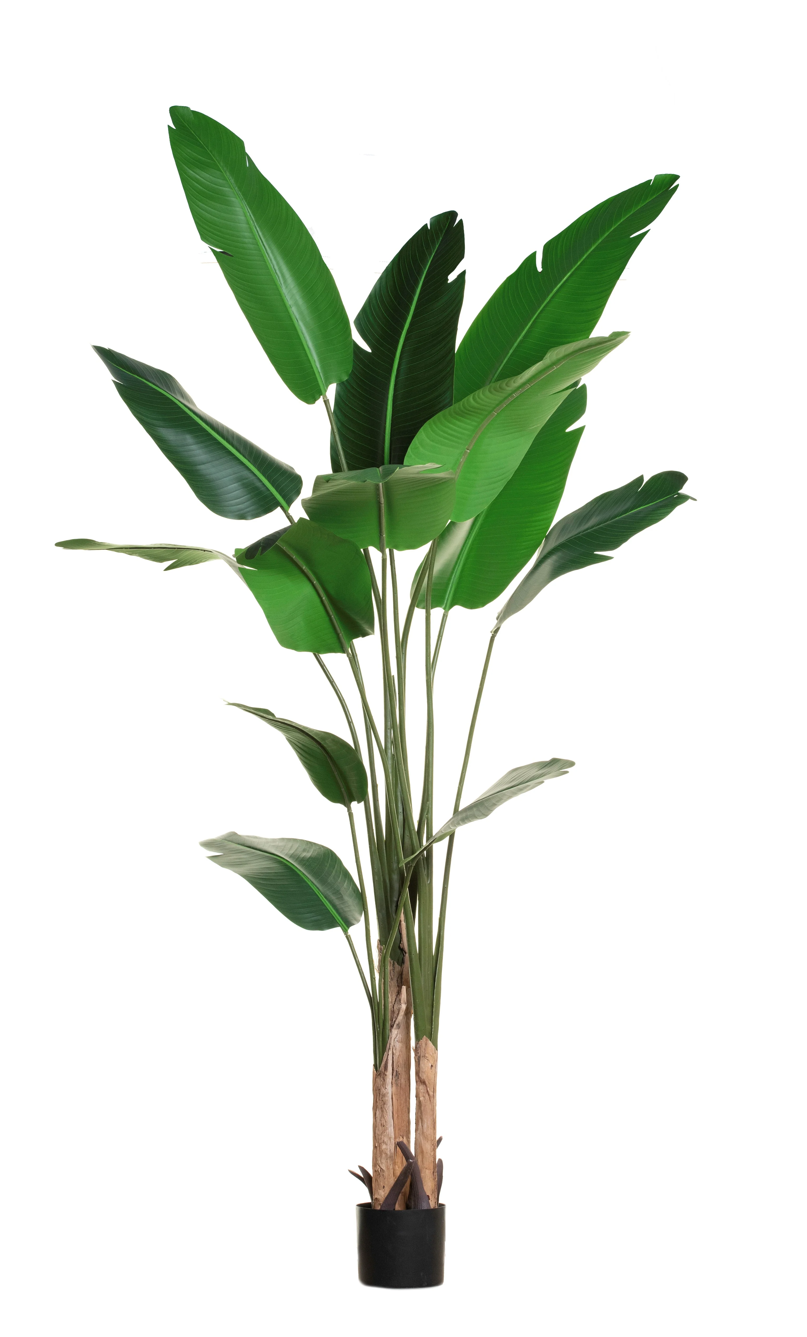 7' Bird of Paradise FP1152