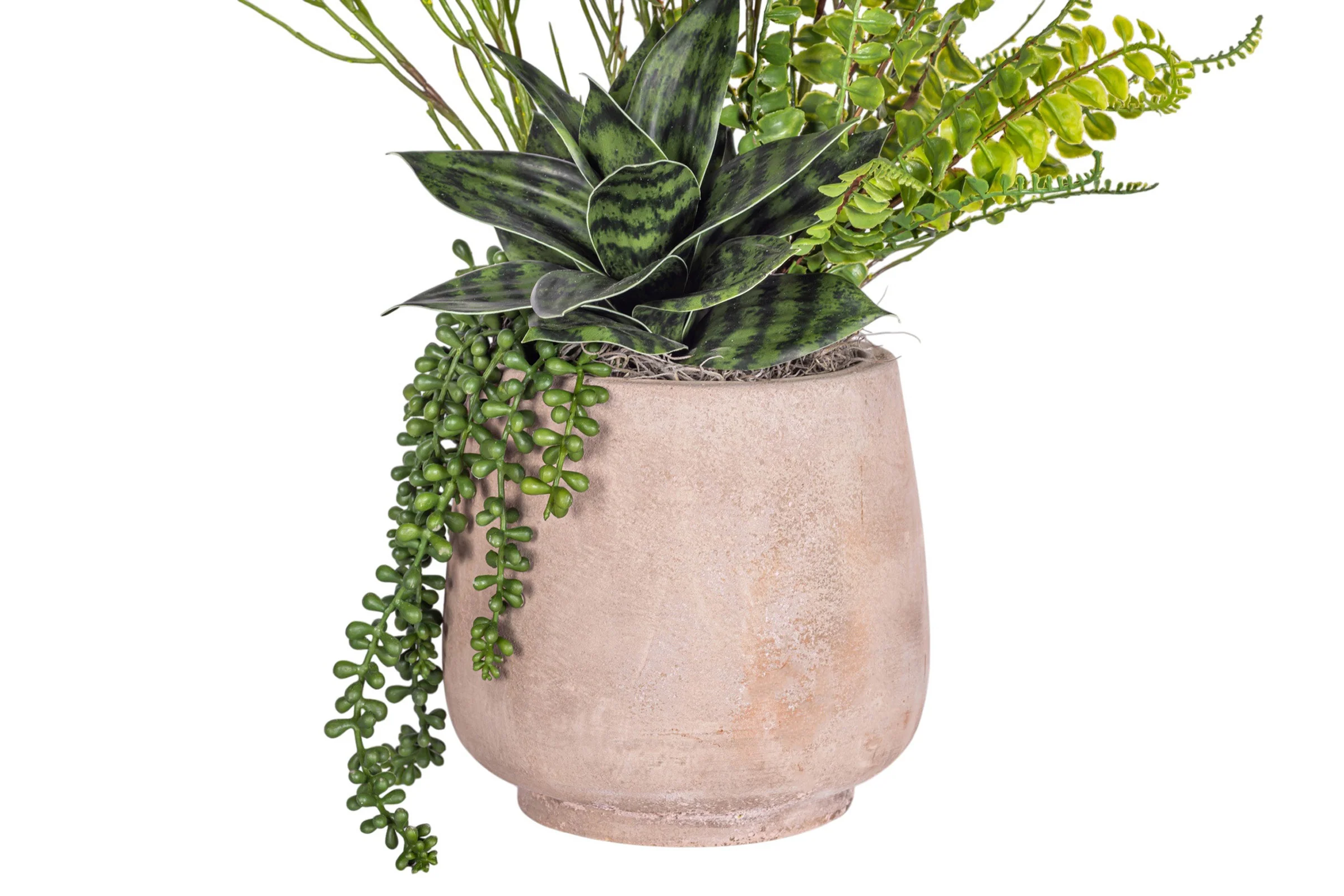 7" Dante Pot with Succulent Arrangement AR1795 - Image 3