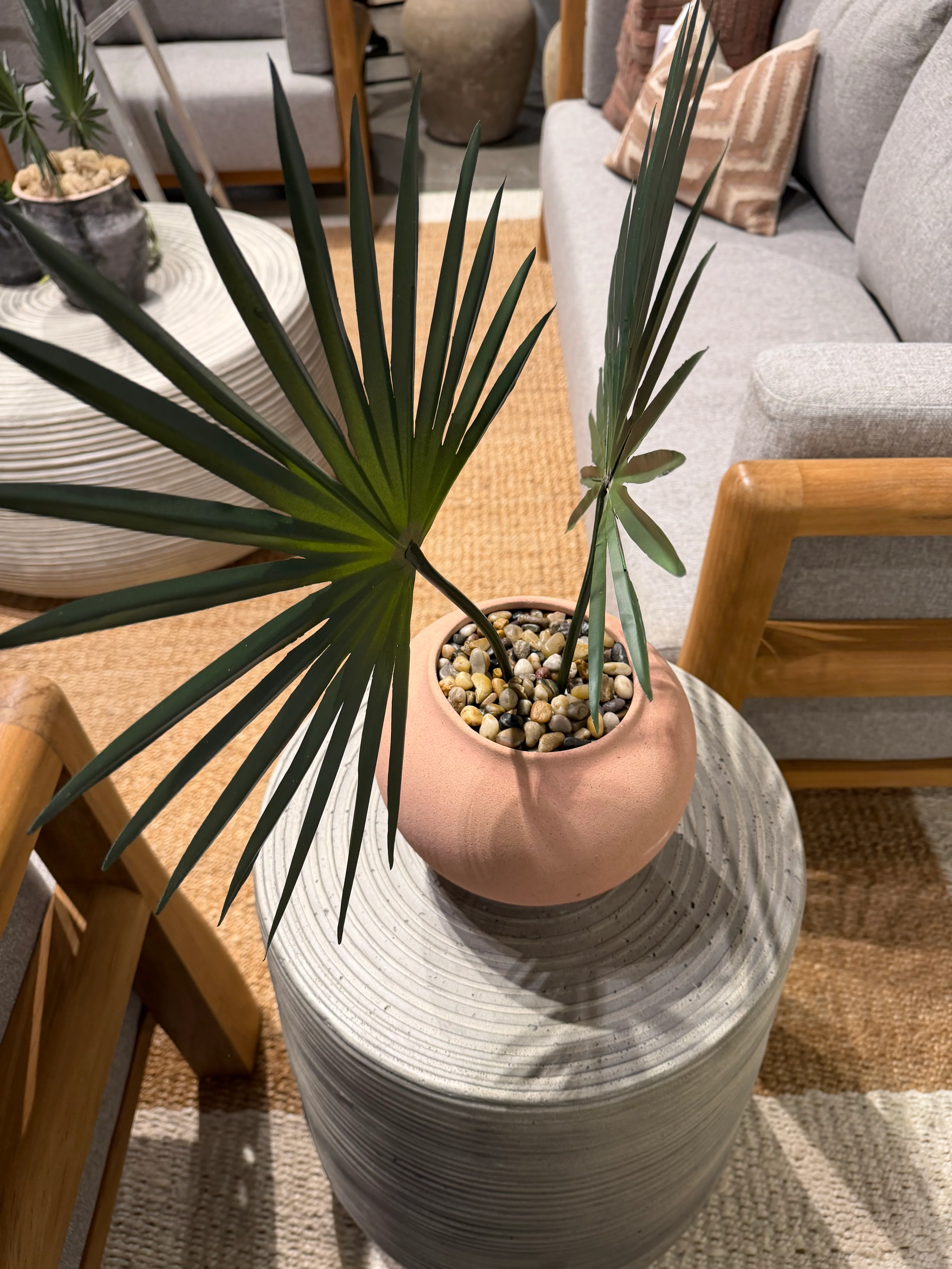 8.75" Marlee Vase with Fan Palm Arrangement AR1905