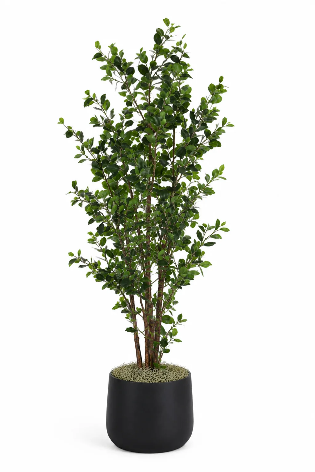 8' Ficus Tree in Cooper Planter Large    PC1082 - Image 2