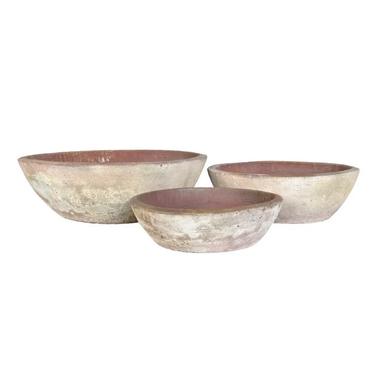 7' Queensland Bottle Tree in Terracotta Bowl with Sand and Rock PC1436CN1444SM - Image 3