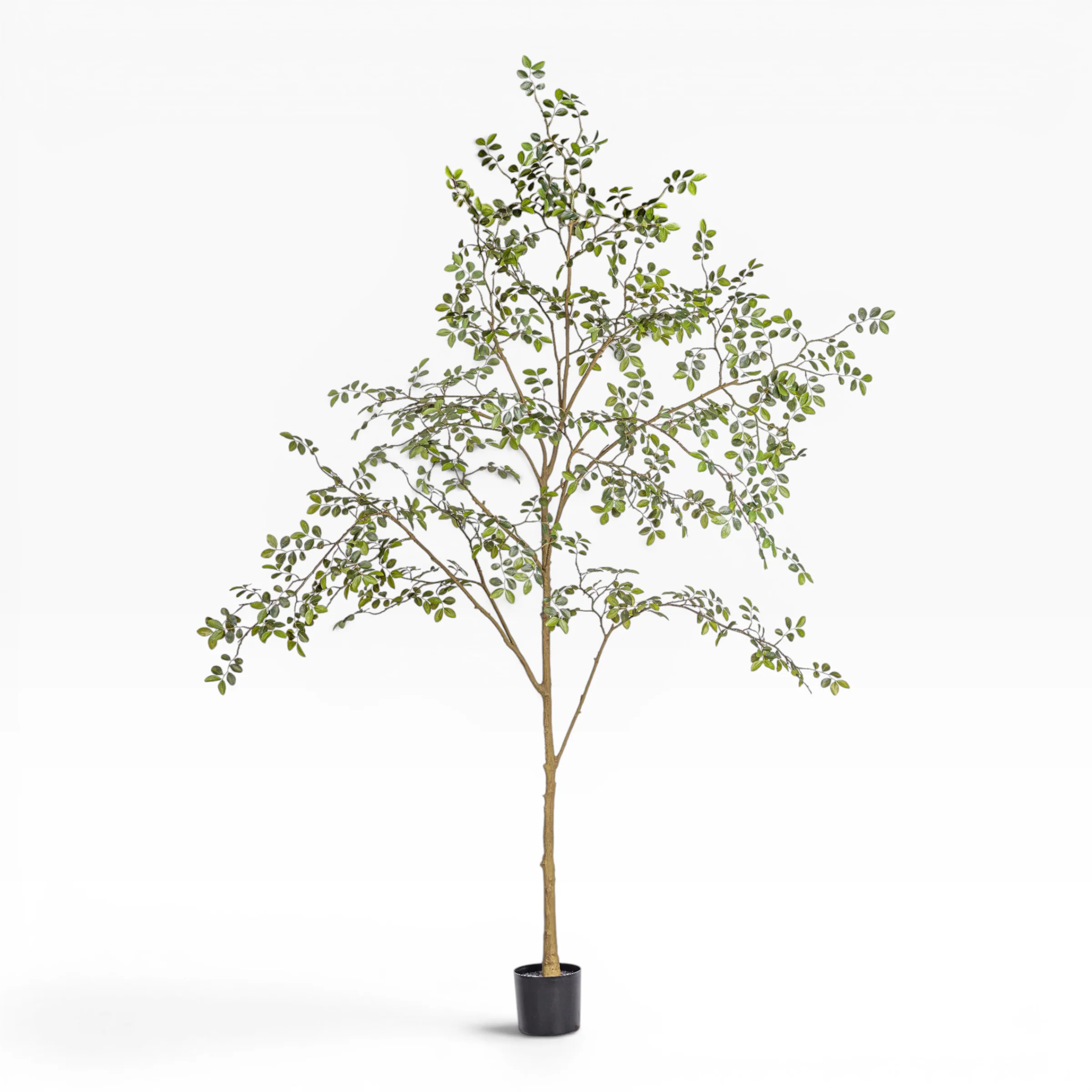 8' Rose Tree FP1473 - Image 8