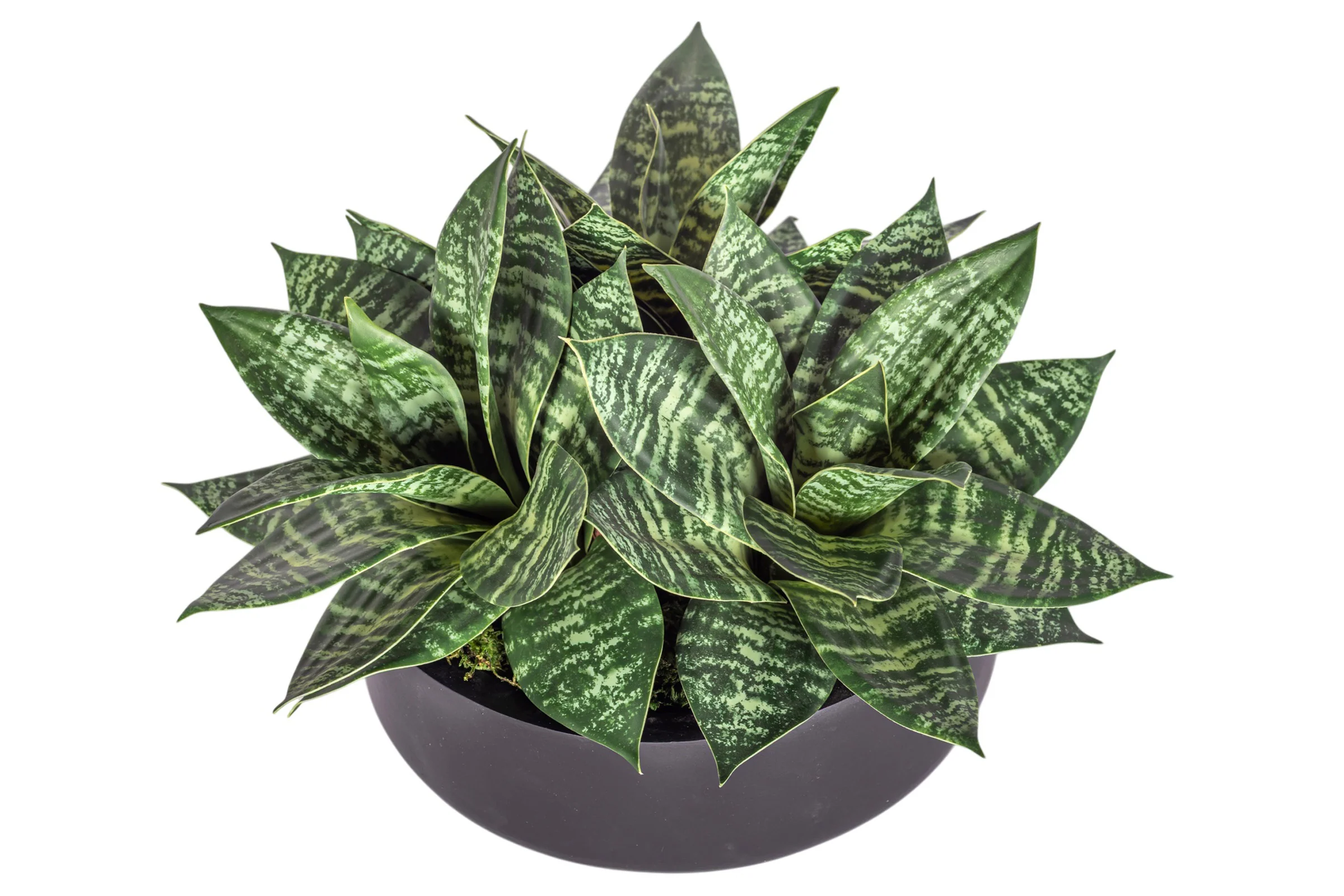 9" Ryker Bowl with Snake Flower Arrangement AR1929 - Image 2