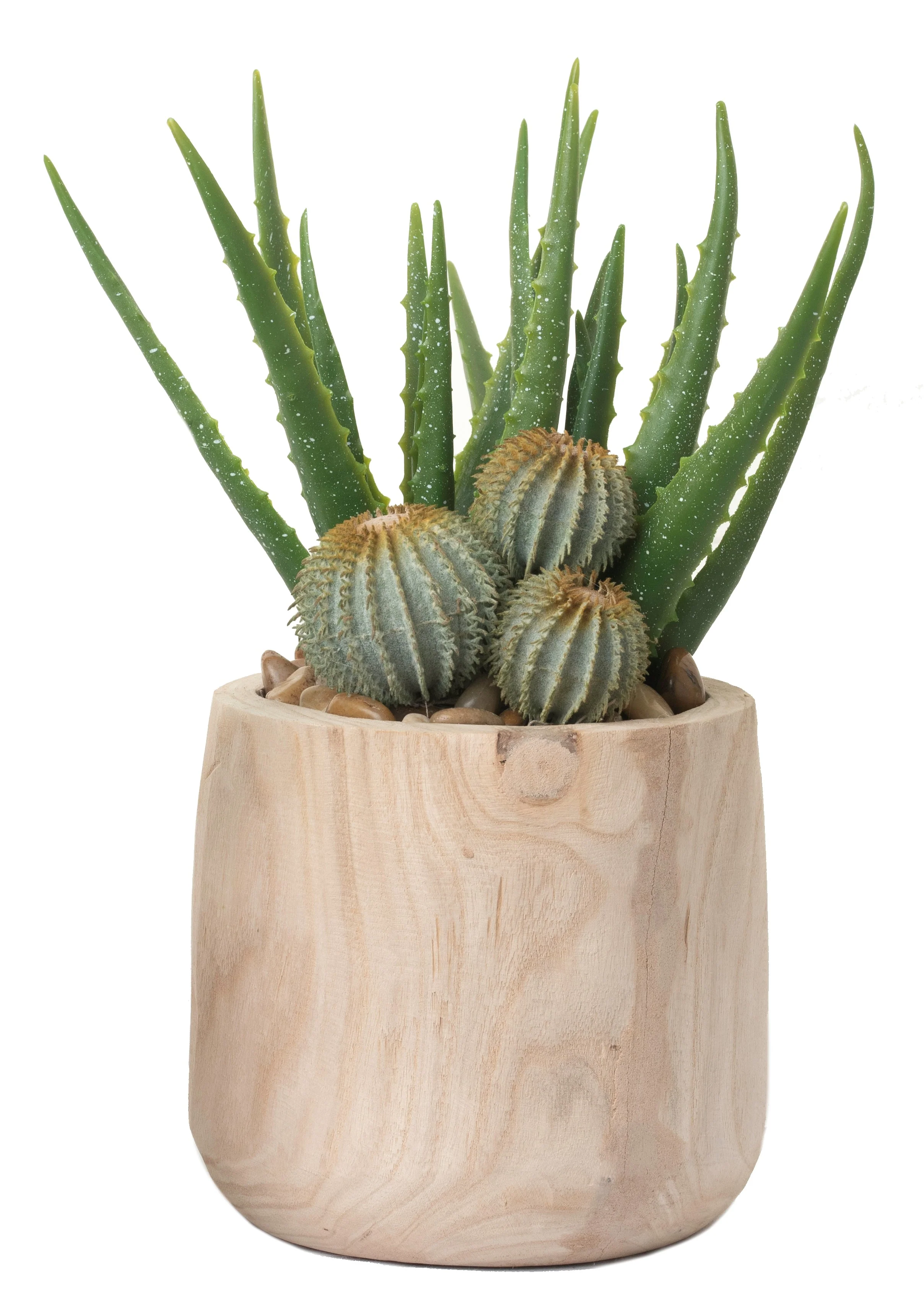 9" Sedona Pot with Aloe and Cactus Arrangement AR1226