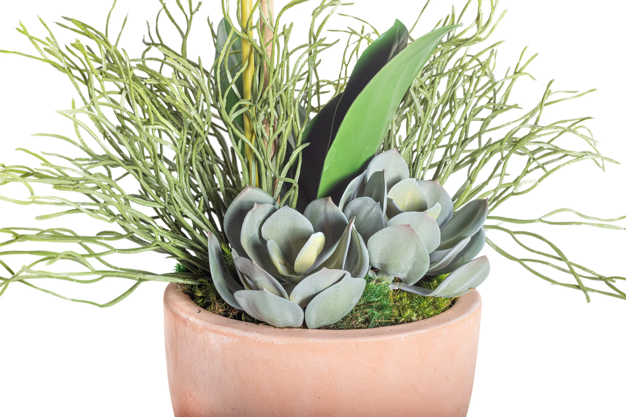 9" Terracotta Mack Compote with Orchid Arrangement AR1211 - Image 2