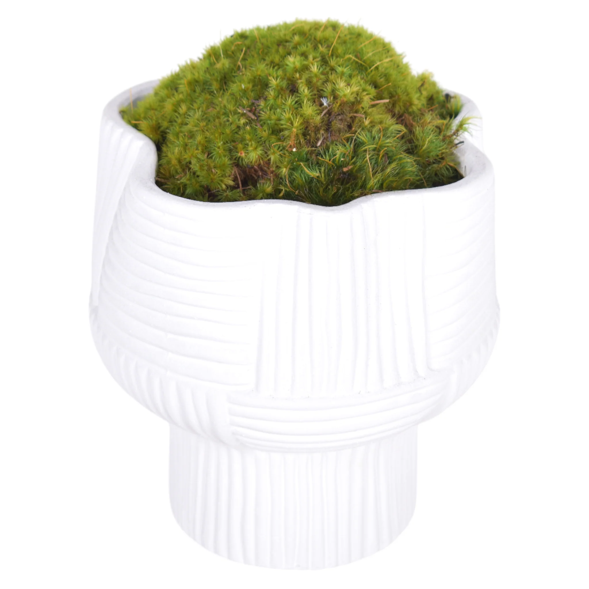 7.5" Turin Pot with Mood Moss Arrangement AR1038 - Image 2