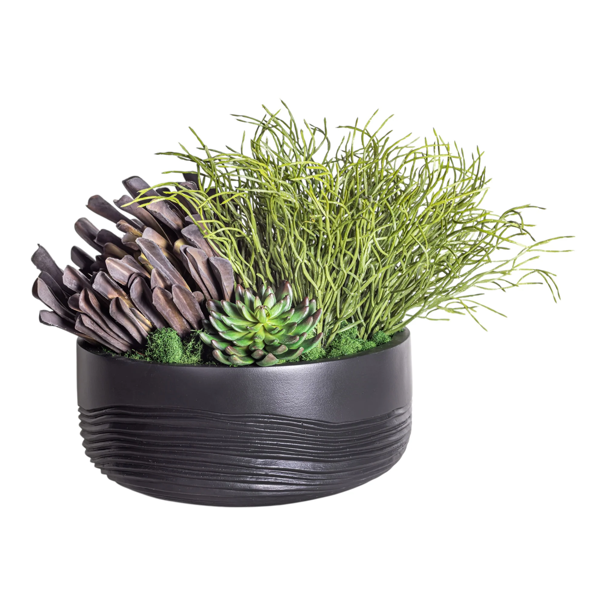 14" Ryker Bowl with Mixed Succulent Arrangement AR1182 - Image 2