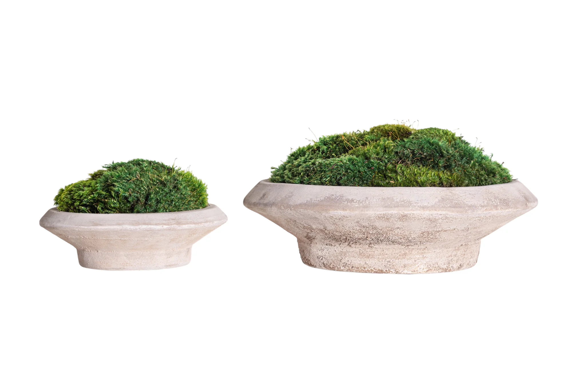 18" Sayulita Footed Saucer with Mood Moss Arrangement AR1190 - Image 3