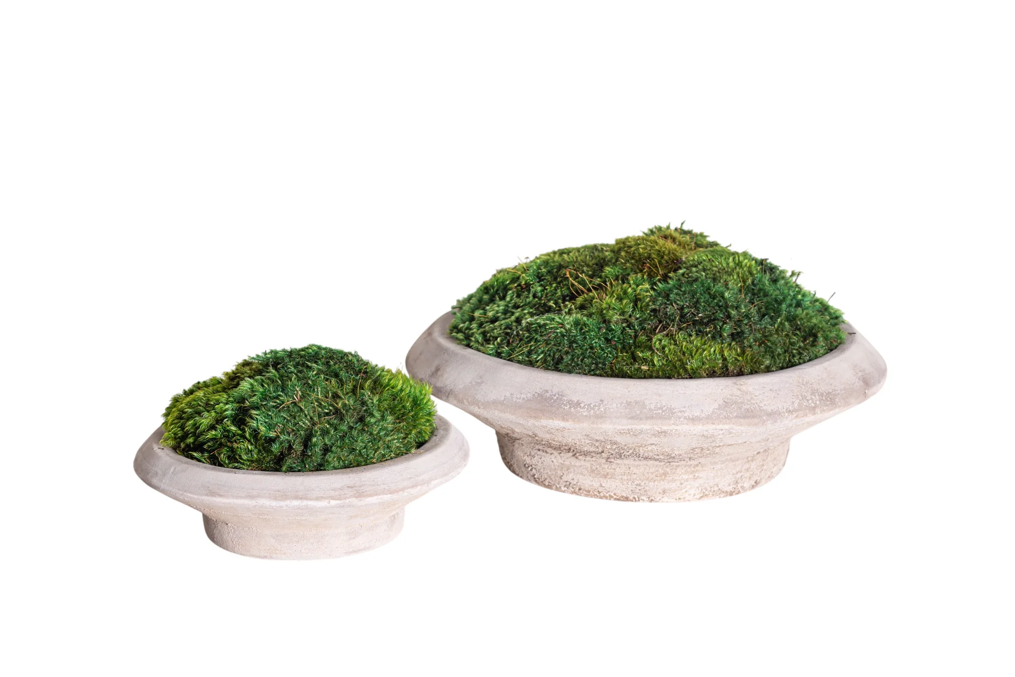 12" Sayulita Footed Saucer with Mood Moss Arrangement AR1279 - Image 3