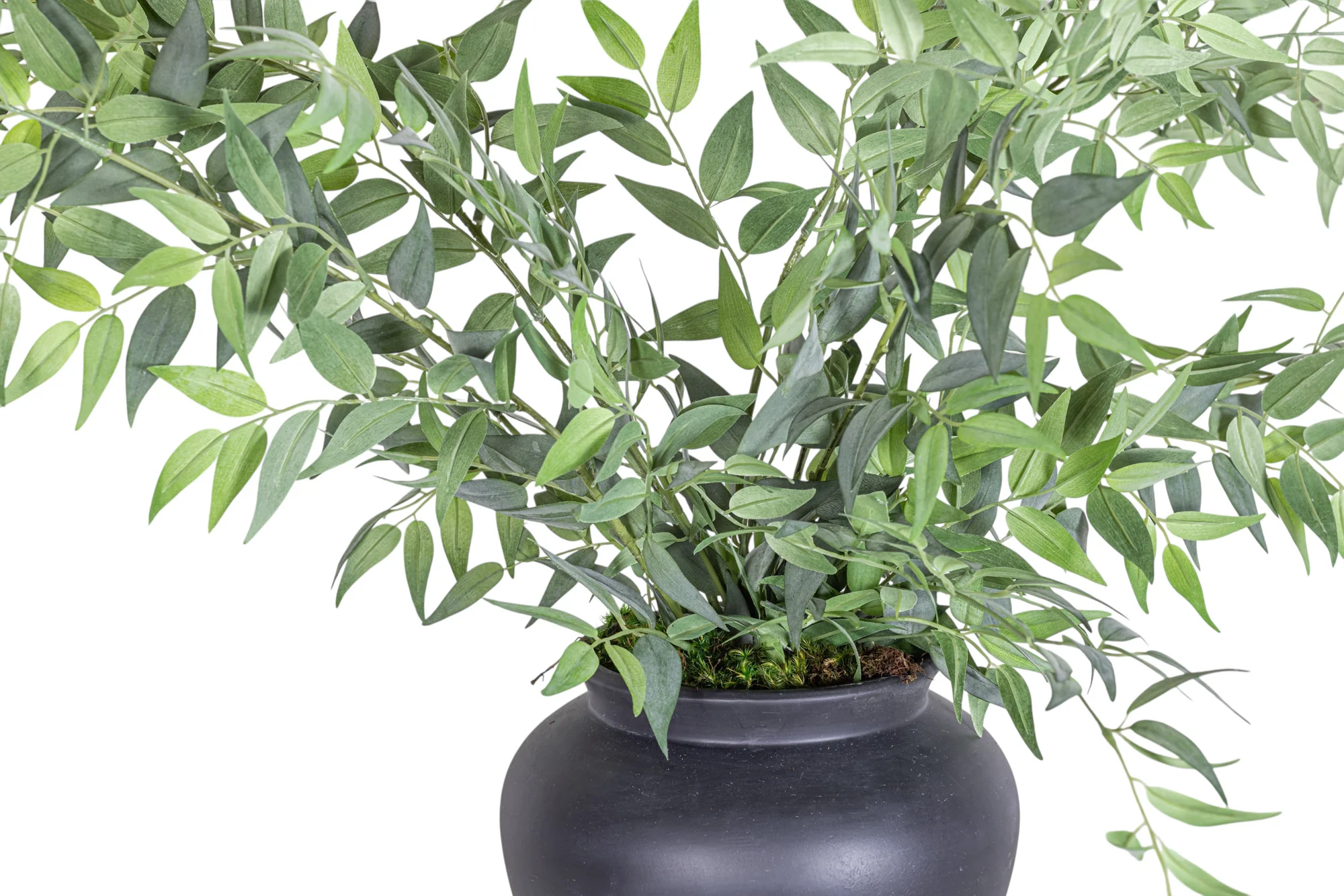 10" O'Neil Pot with Ruscus Arrangement AR1295 - Image 6